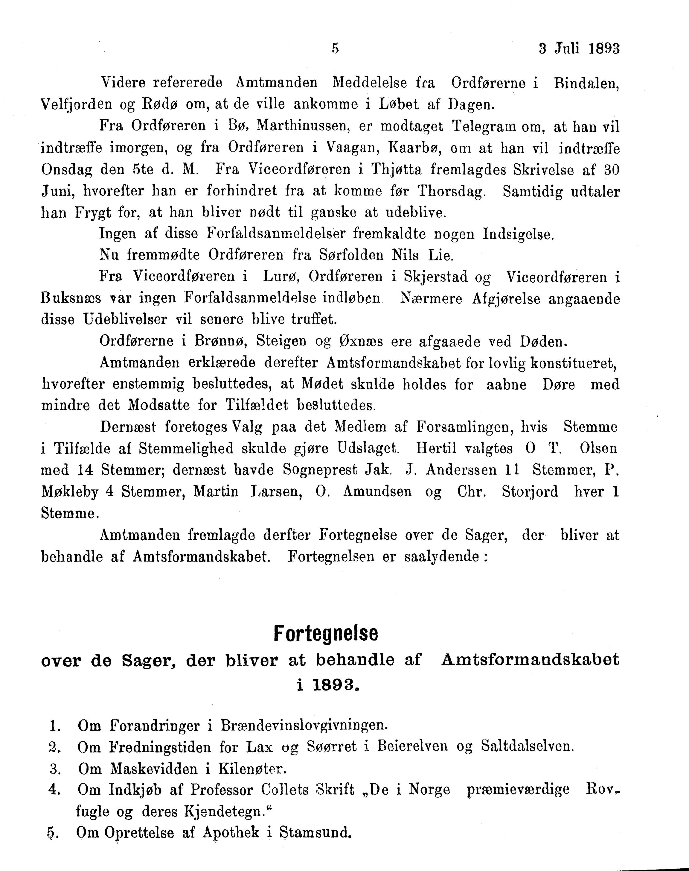 Nordland Fylkeskommune. Fylkestinget, AIN/NFK-17/176/A/Ac/L0016: Fylkestingsforhandlinger 1891-1893, 1891-1893