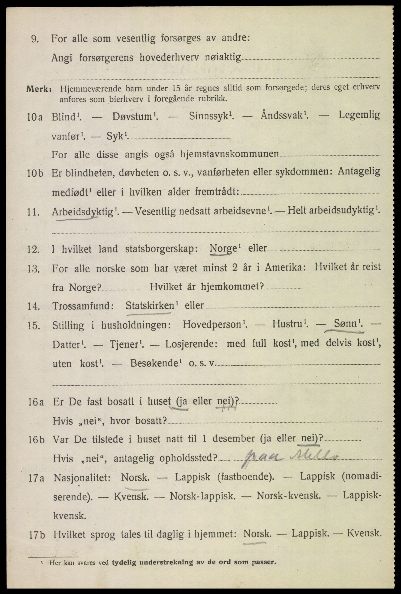 SAT, Folketelling 1920 for 1866 Hadsel herred, 1920, s. 13255