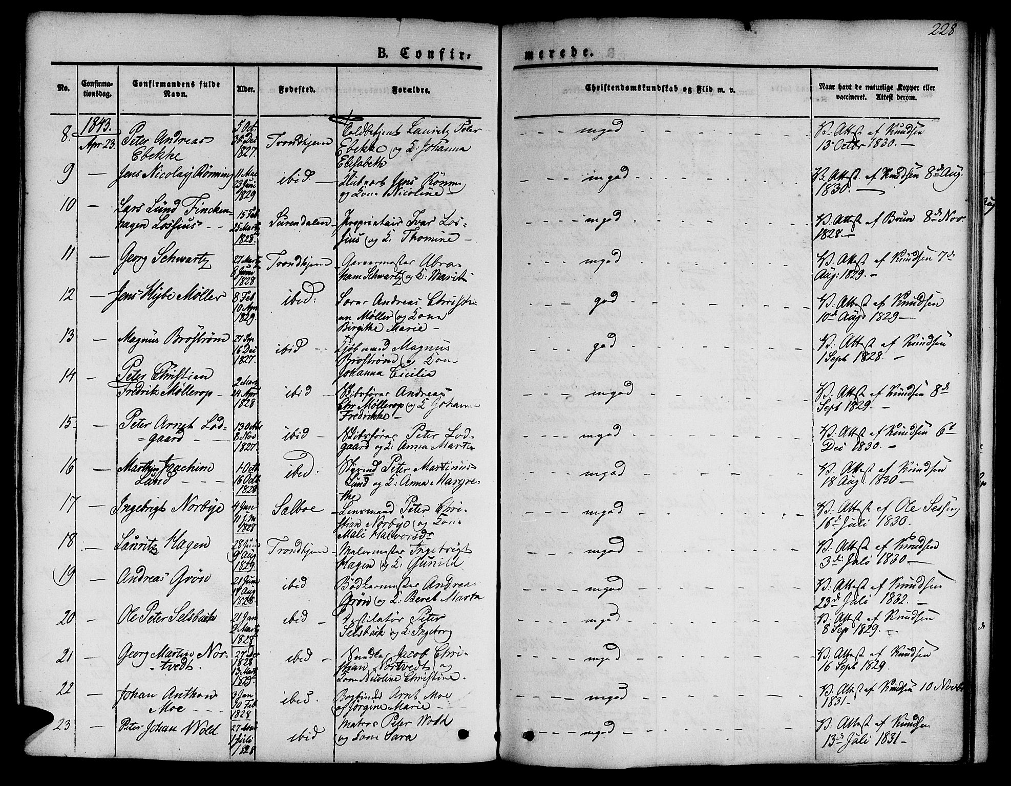 Ministerialprotokoller, klokkerbøker og fødselsregistre - Sør-Trøndelag, AV/SAT-A-1456/601/L0048: Ministerialbok nr. 601A16, 1840-1847, s. 228