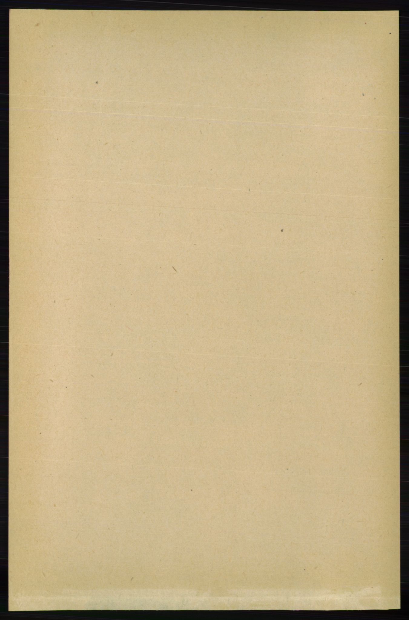 RA, Folketelling 1891 for 0936 Hornnes herred, 1891, s. 216