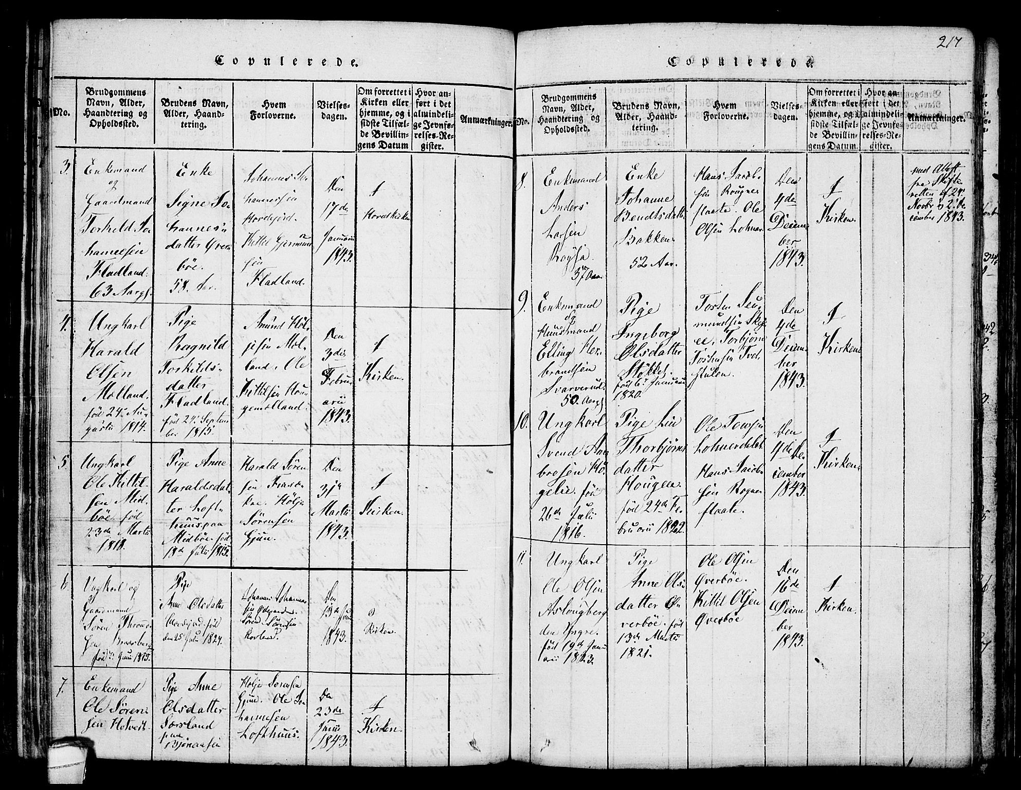 Hjartdal kirkebøker, AV/SAKO-A-270/F/Fa/L0007: Ministerialbok nr. I 7, 1815-1843, s. 217