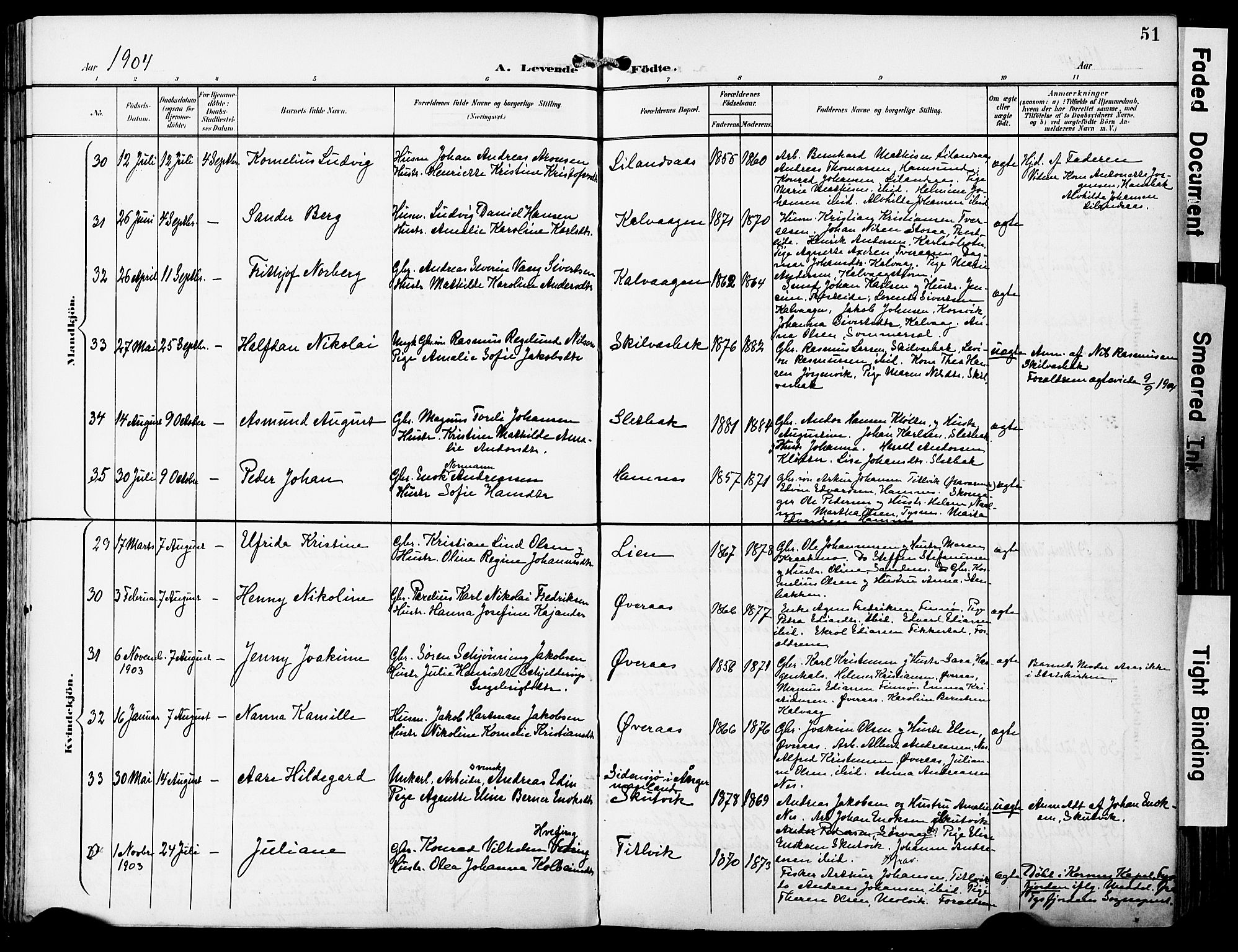 Ministerialprotokoller, klokkerbøker og fødselsregistre - Nordland, AV/SAT-A-1459/859/L0848: Ministerialbok nr. 859A08, 1900-1912, s. 51