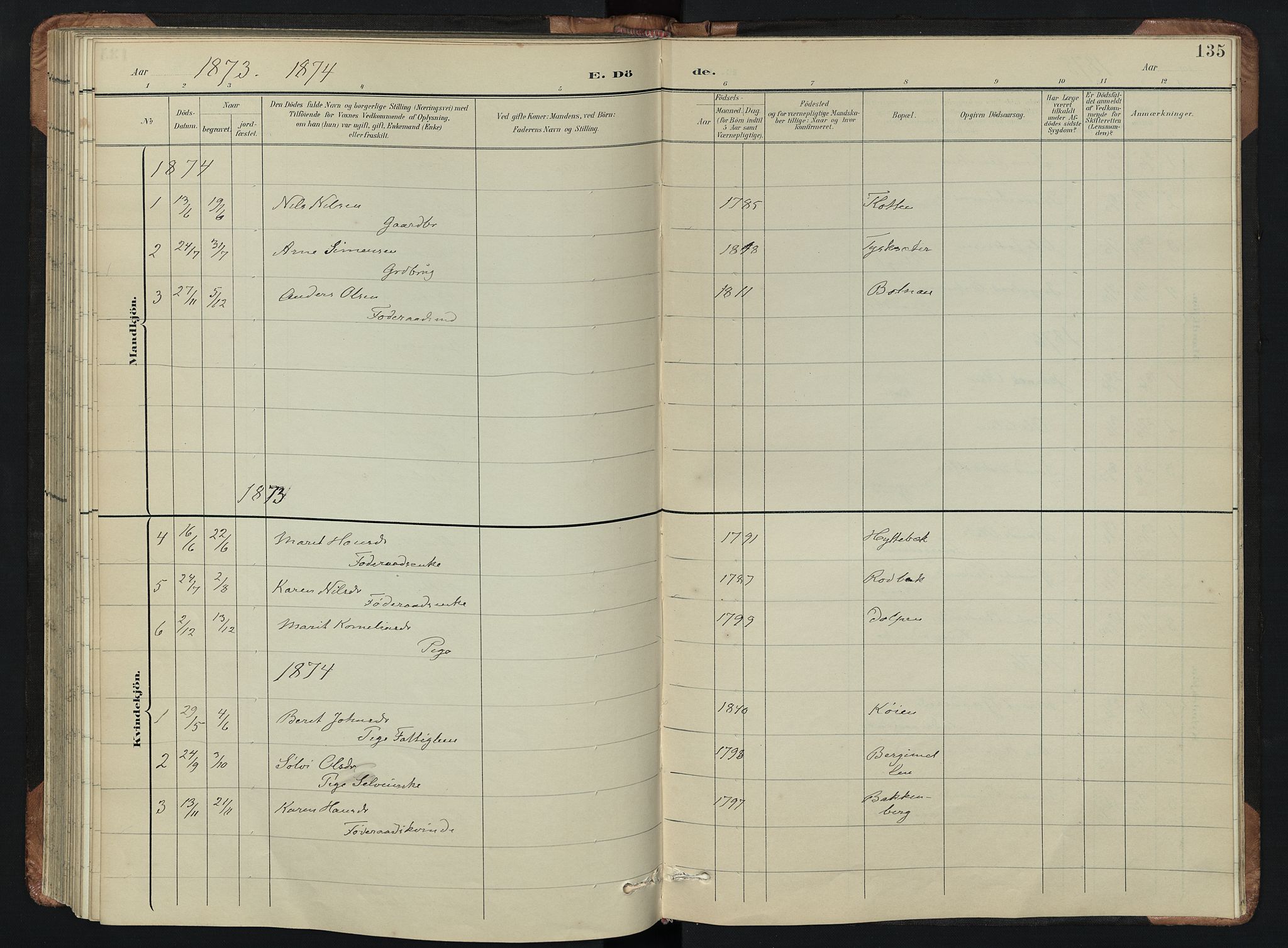 Kvikne prestekontor, AV/SAH-PREST-064/H/Ha/Hab/L0002: Klokkerbok nr. 2, 1859-1901, s. 135