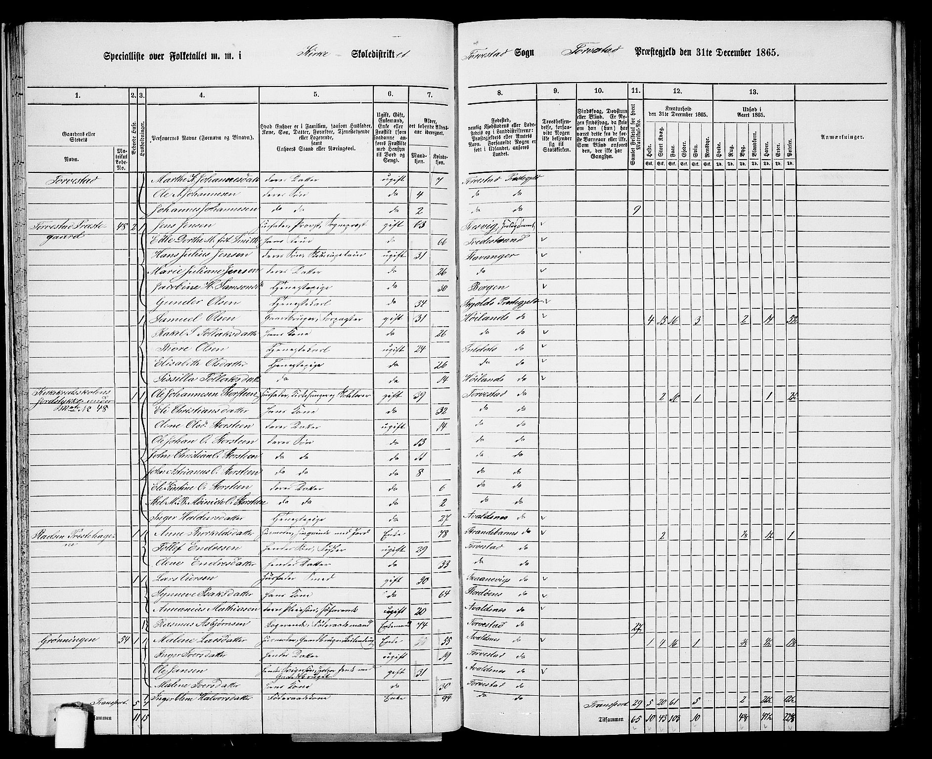 RA, Folketelling 1865 for 1152L Torvastad prestegjeld, Torvastad sokn, Skåre sokn og Utsira sokn, 1865, s. 31