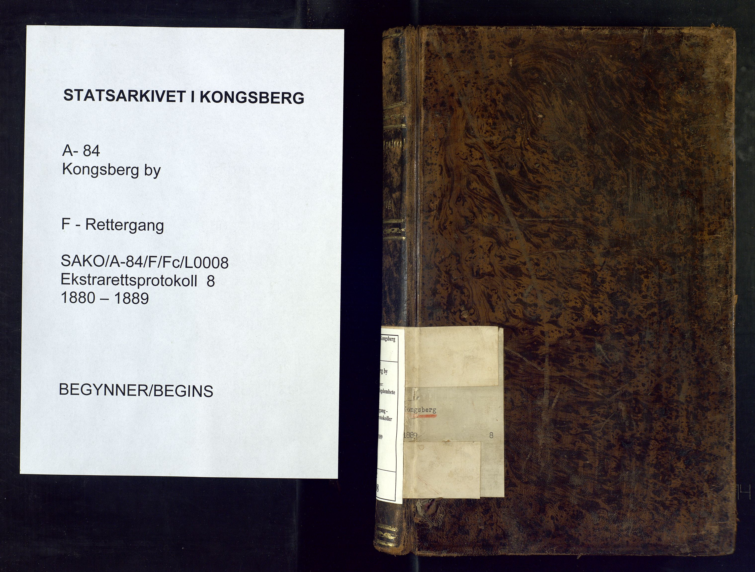 Kongsberg byfogd, SAKO/A-84/F/Fc/L0008: Ekstrarettsprotokoll, 1880-1889