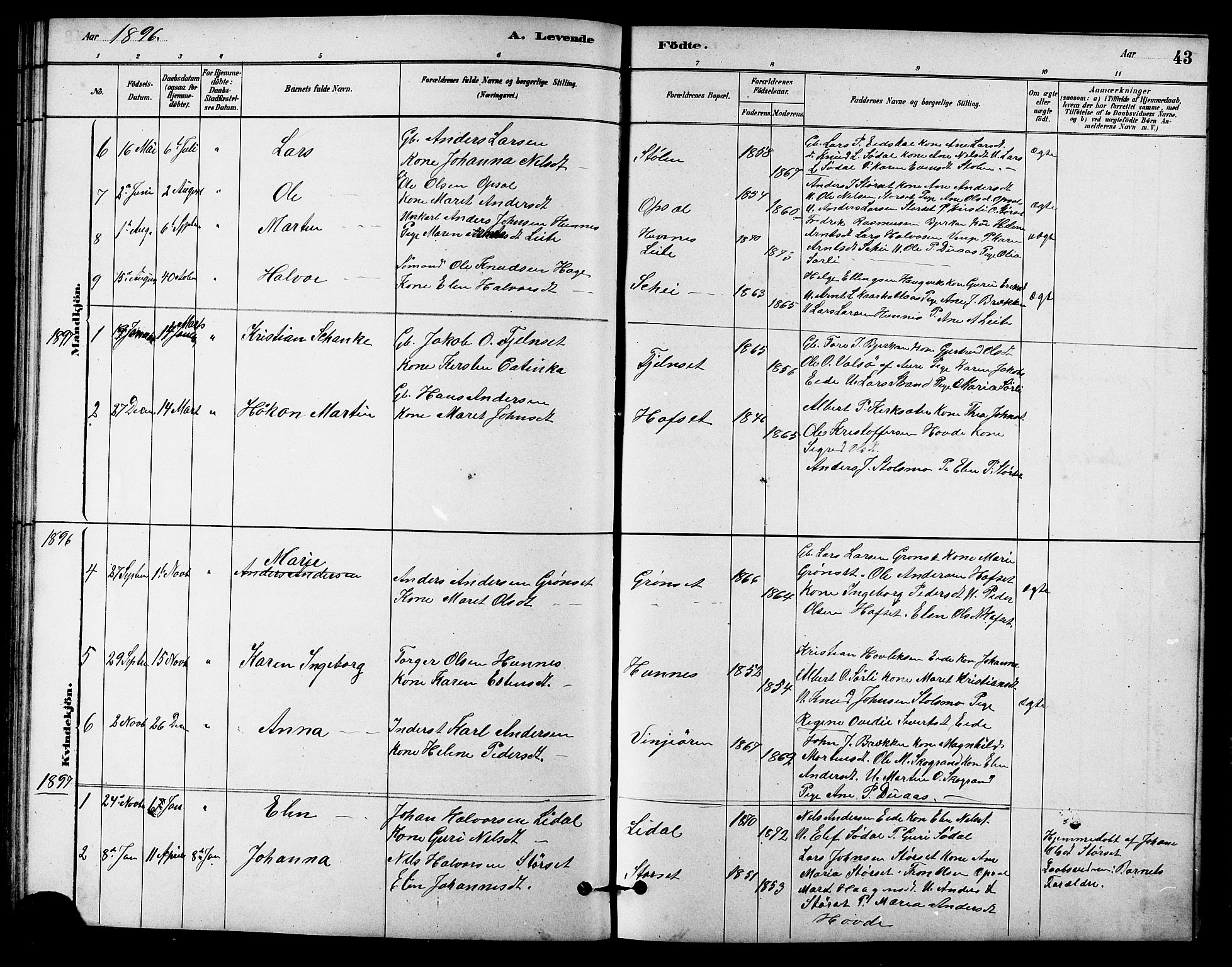 Ministerialprotokoller, klokkerbøker og fødselsregistre - Sør-Trøndelag, SAT/A-1456/631/L0514: Klokkerbok nr. 631C02, 1879-1912, s. 43