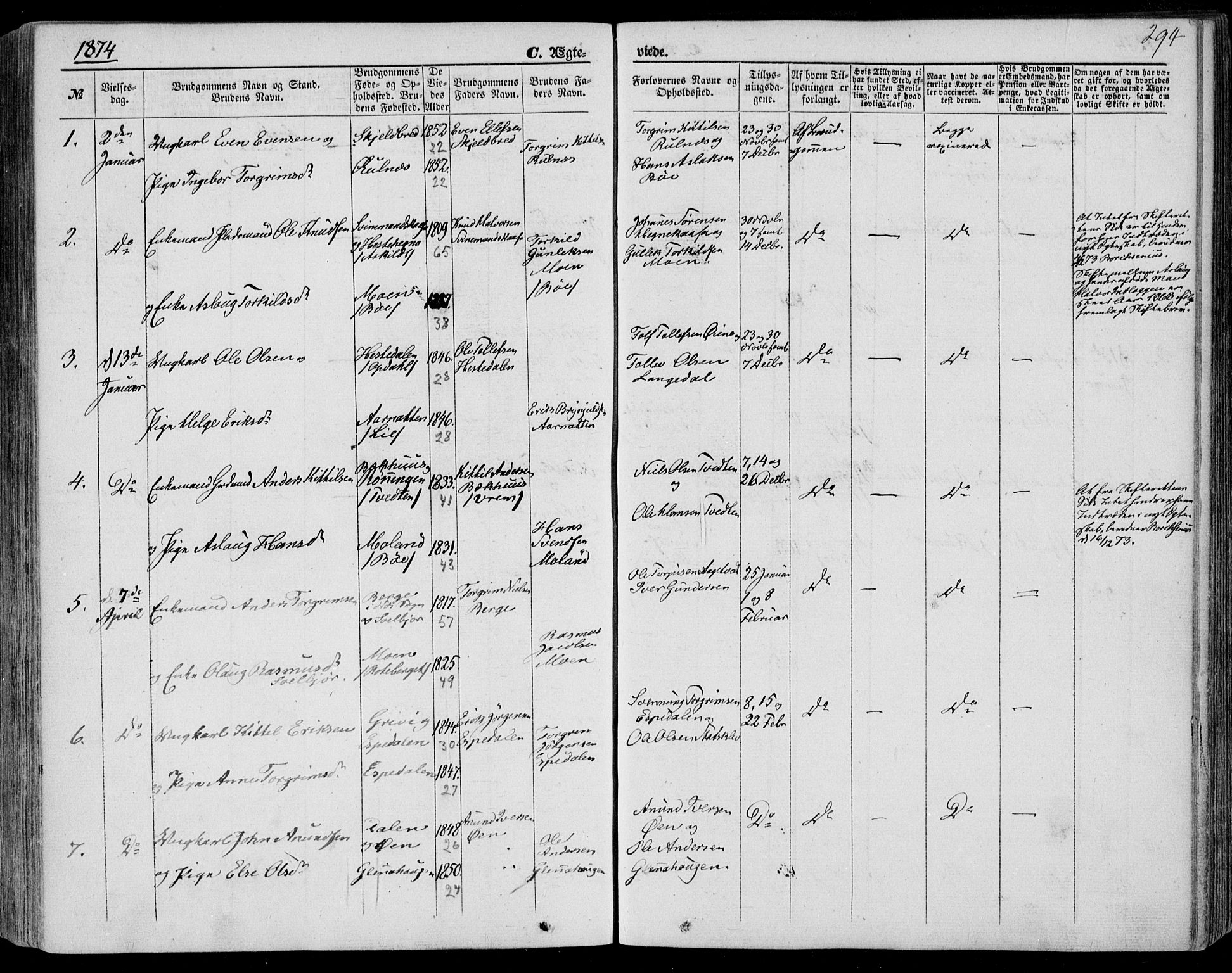 Bø kirkebøker, AV/SAKO-A-257/F/Fa/L0009: Ministerialbok nr. 9, 1862-1879, s. 294