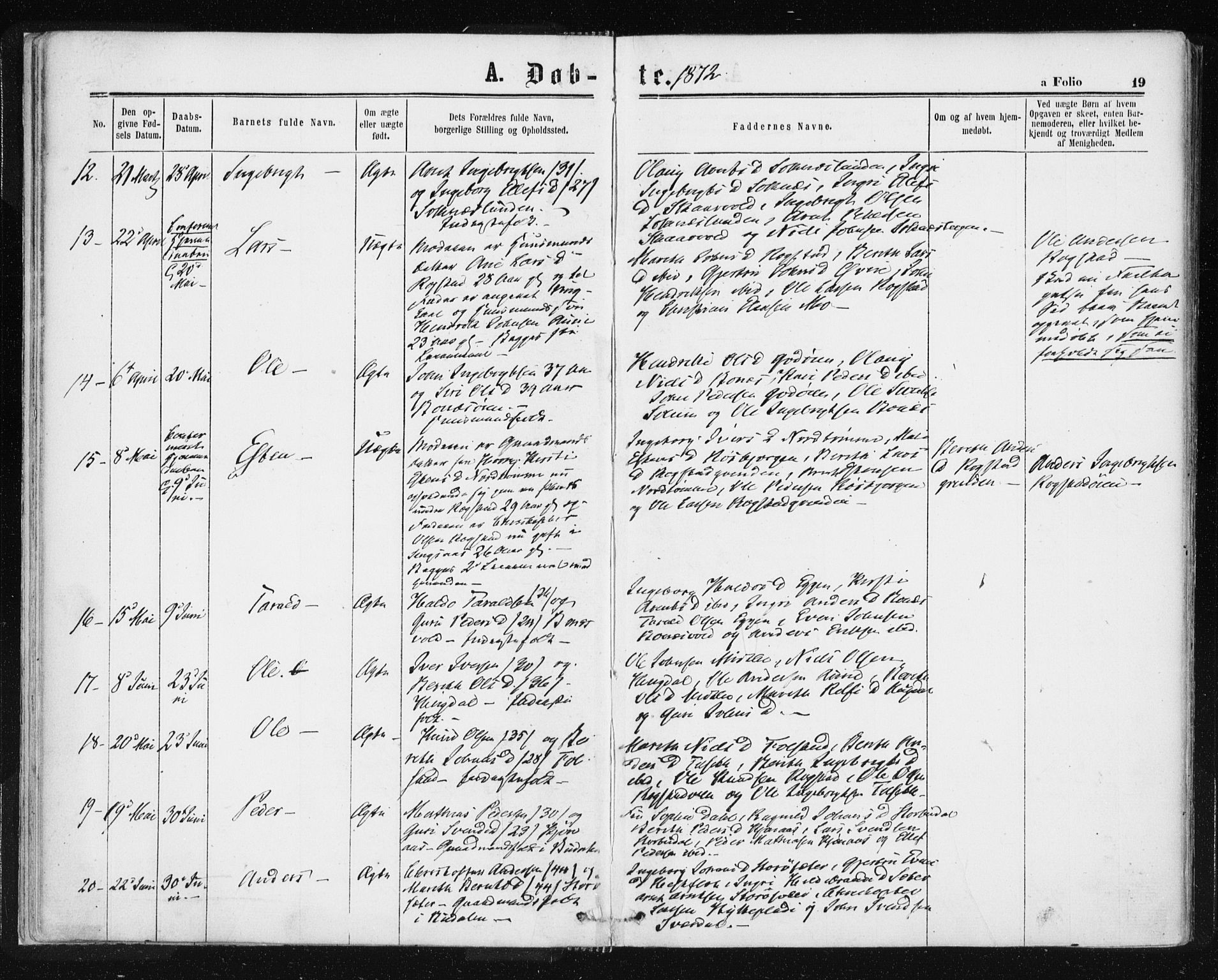 Ministerialprotokoller, klokkerbøker og fødselsregistre - Sør-Trøndelag, AV/SAT-A-1456/687/L1001: Ministerialbok nr. 687A07, 1863-1878, s. 19