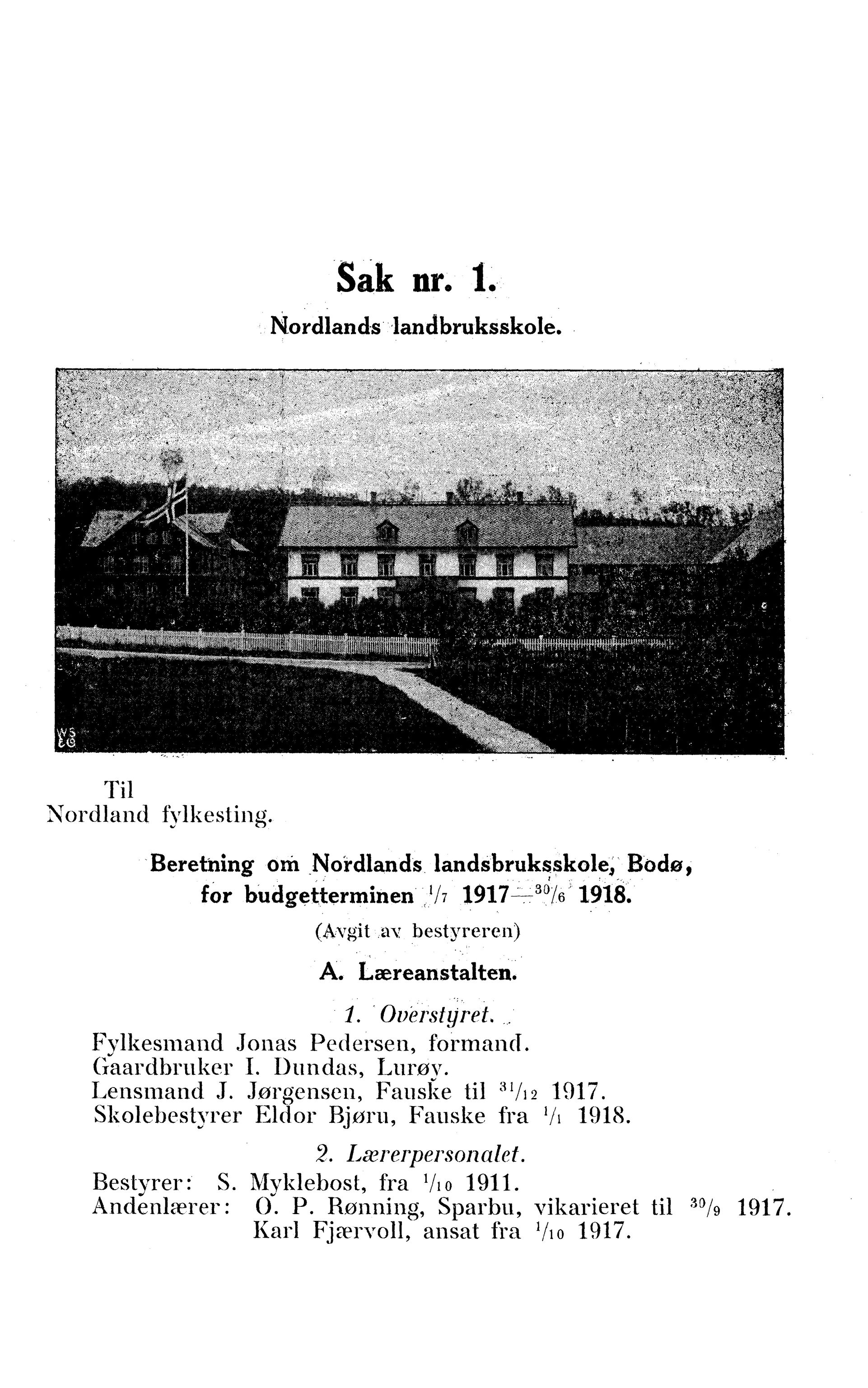 Nordland Fylkeskommune. Fylkestinget, AIN/NFK-17/176/A/Ac/L0042: Fylkestingsforhandlinger 1919, 1919