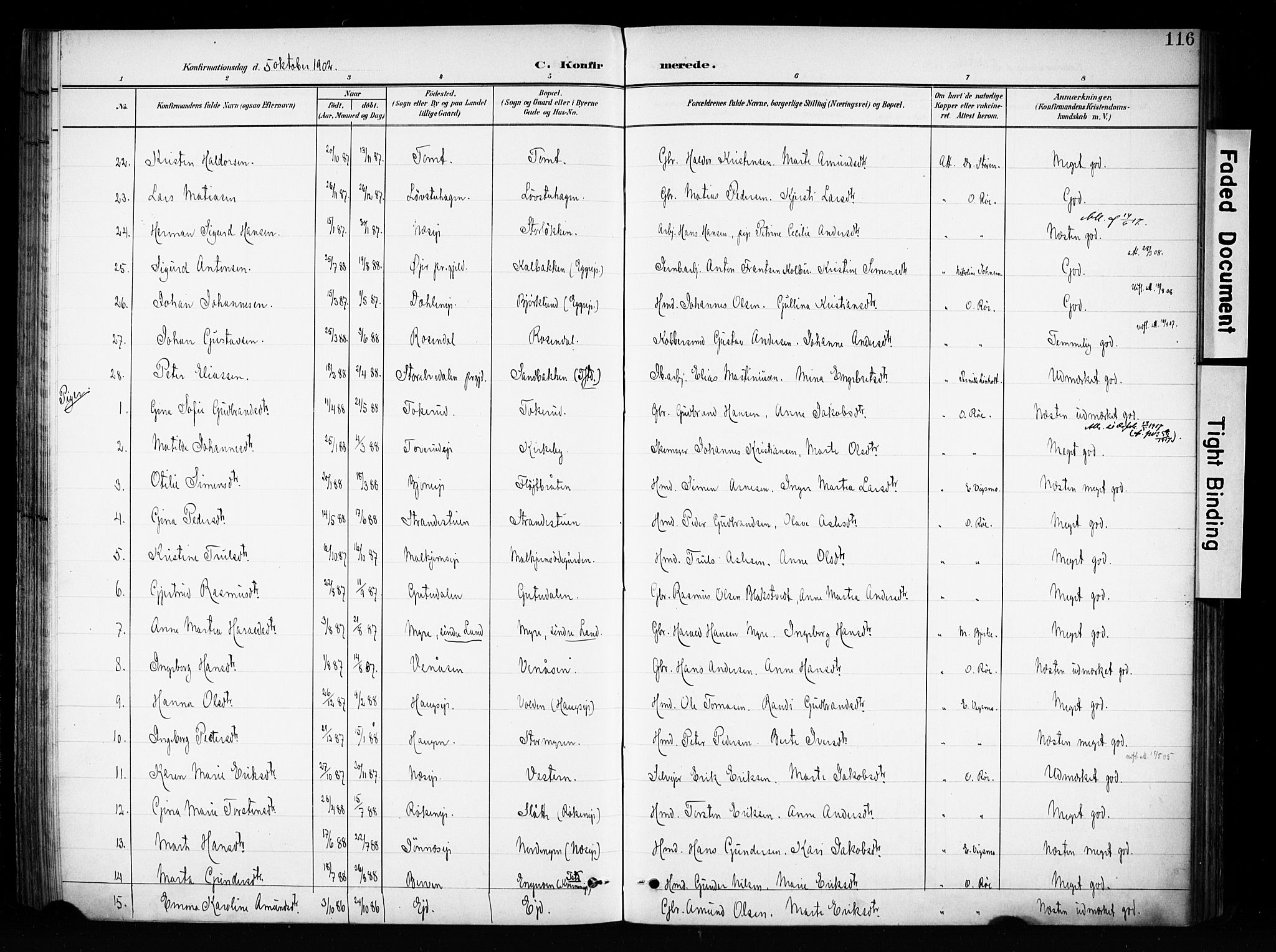 Brandbu prestekontor, AV/SAH-PREST-114/H/Ha/Haa/L0001: Ministerialbok nr. 1, 1900-1912, s. 116