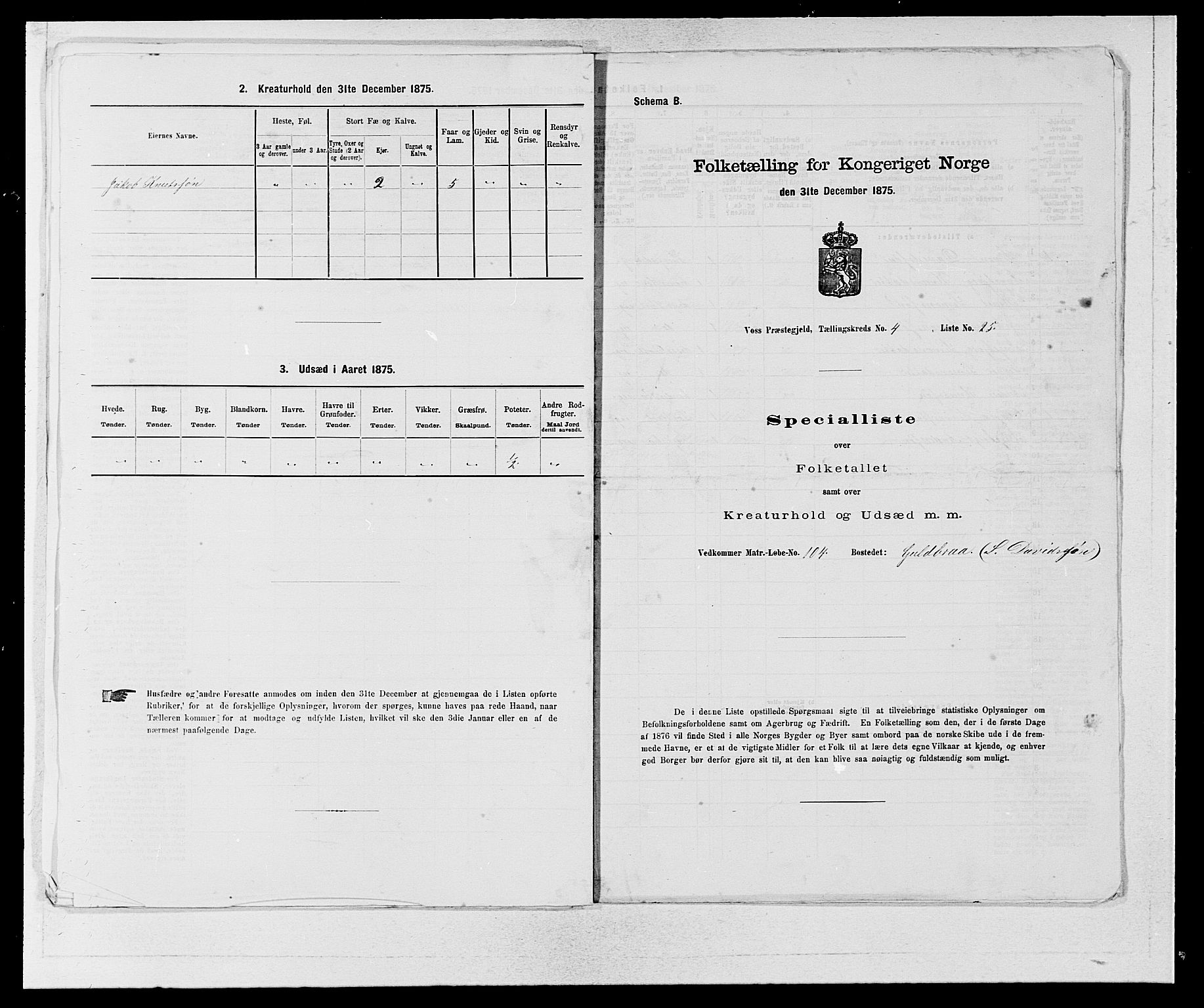 SAB, Folketelling 1875 for 1235P Voss prestegjeld, 1875, s. 2048