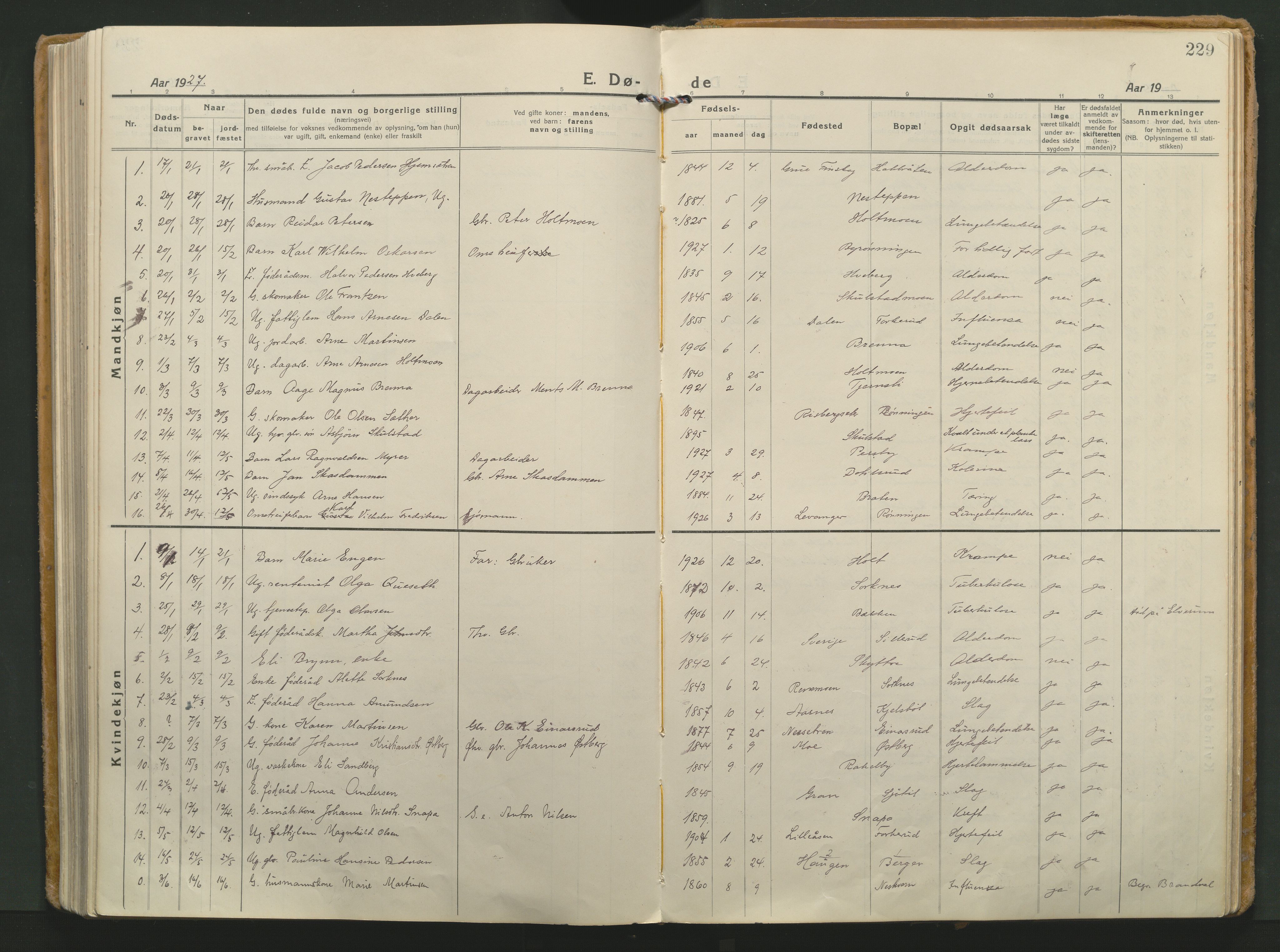 Grue prestekontor, AV/SAH-PREST-036/H/Ha/Haa/L0018: Ministerialbok nr. 18, 1923-1940, s. 229