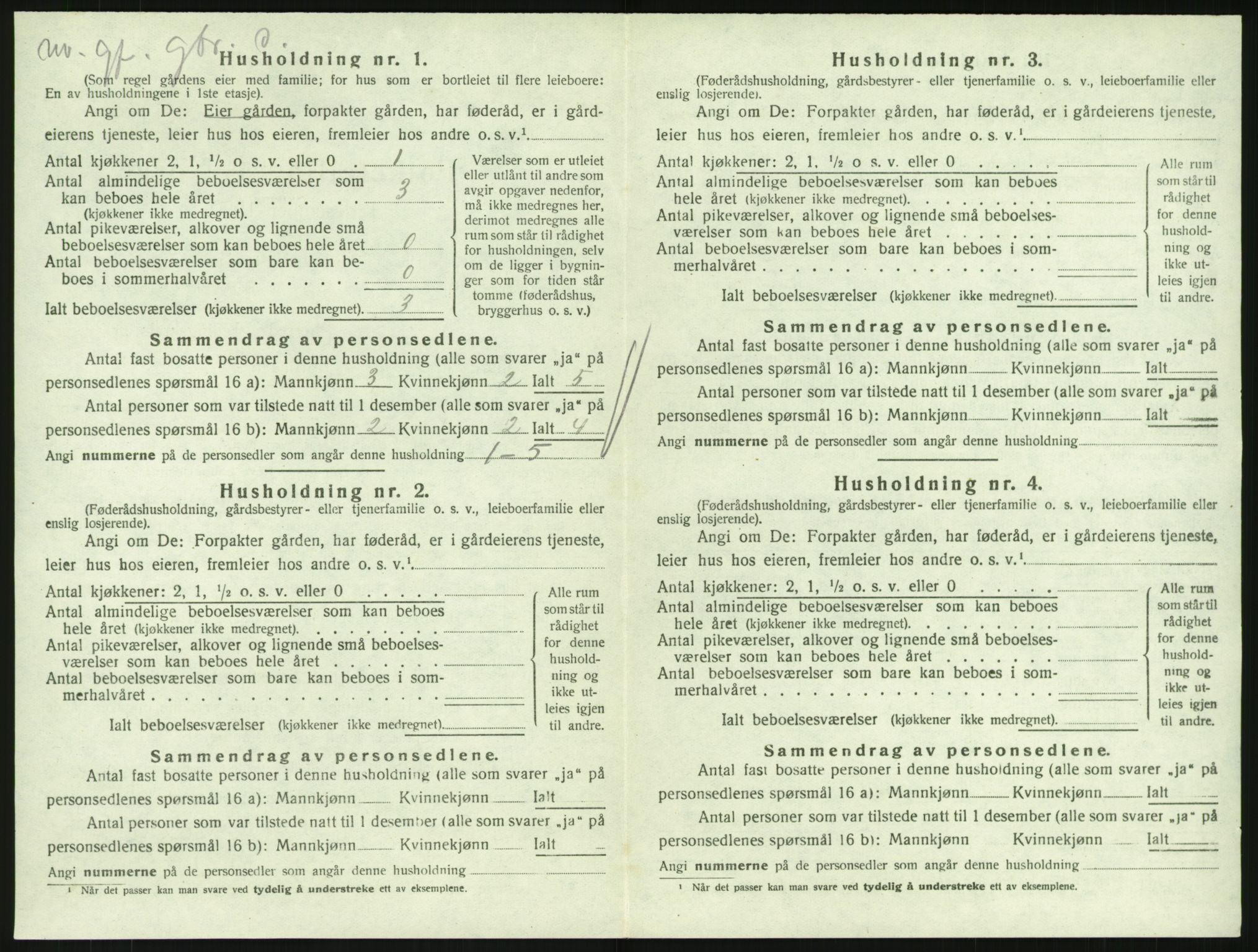 SAKO, Folketelling 1920 for 0727 Hedrum herred, 1920, s. 1250