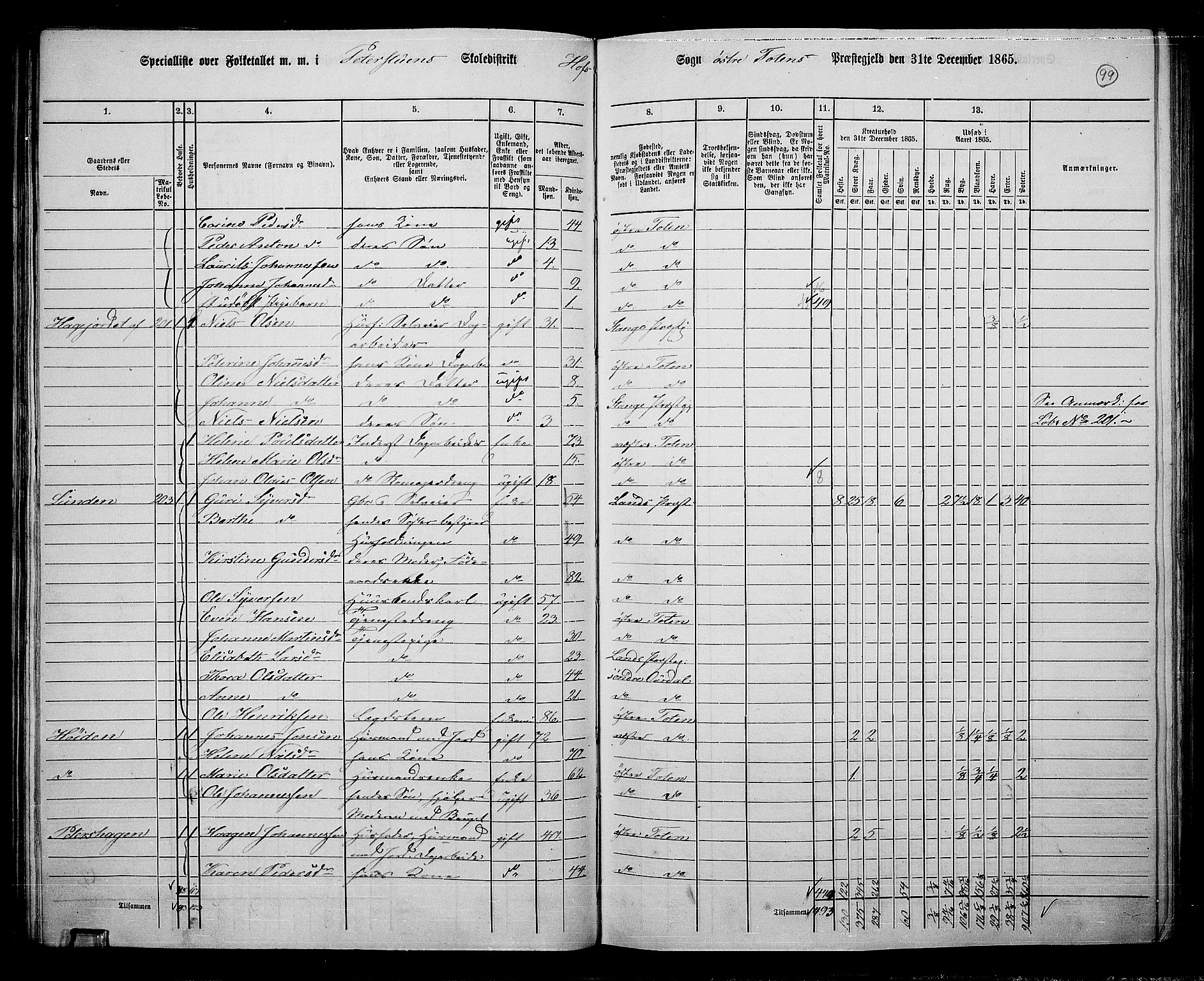 RA, Folketelling 1865 for 0528P Østre Toten prestegjeld, 1865, s. 220