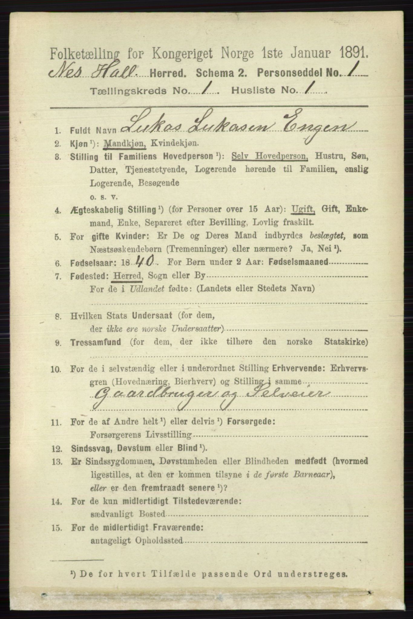 RA, Folketelling 1891 for 0616 Nes herred, 1891, s. 178