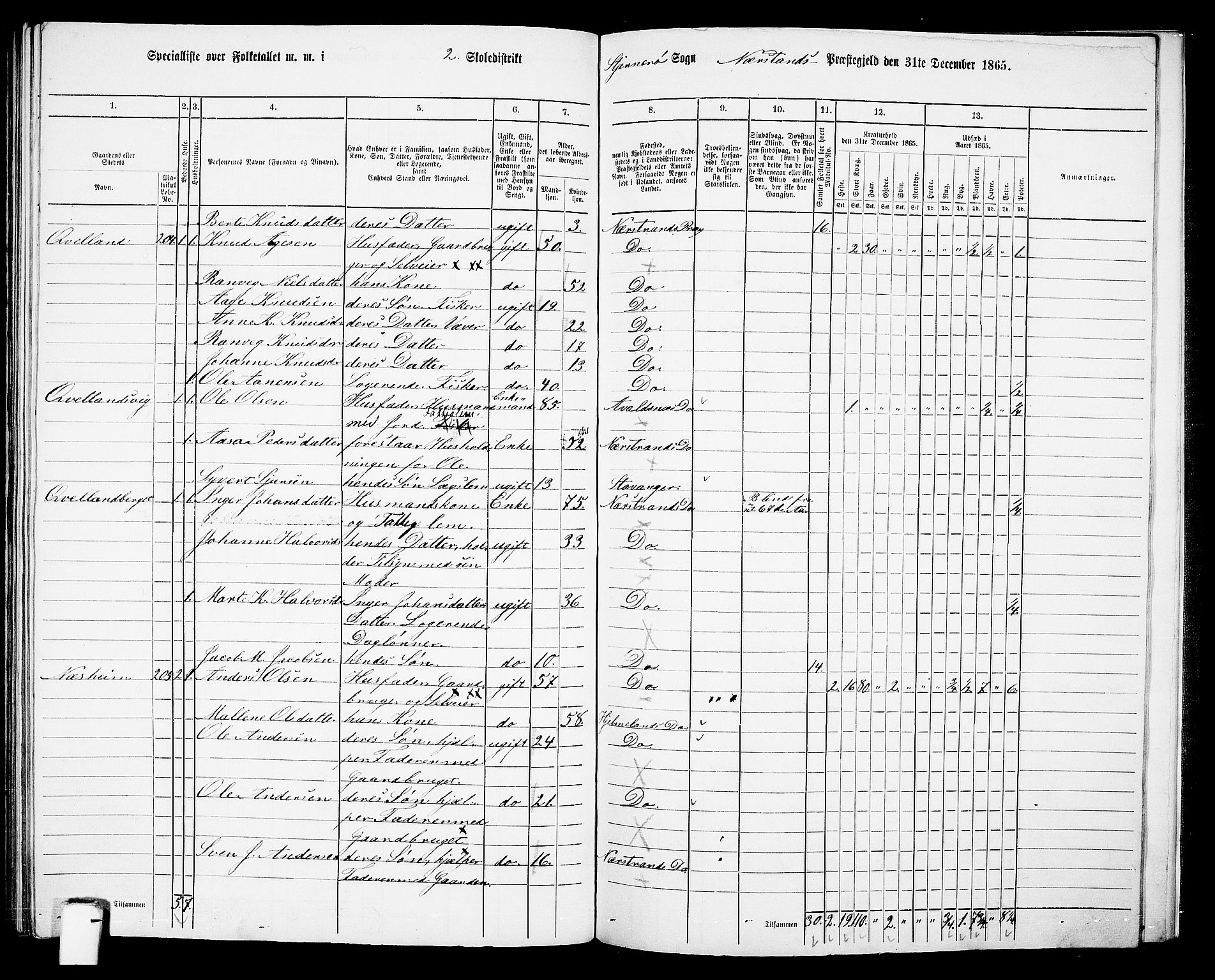 RA, Folketelling 1865 for 1139P Nedstrand prestegjeld, 1865, s. 98