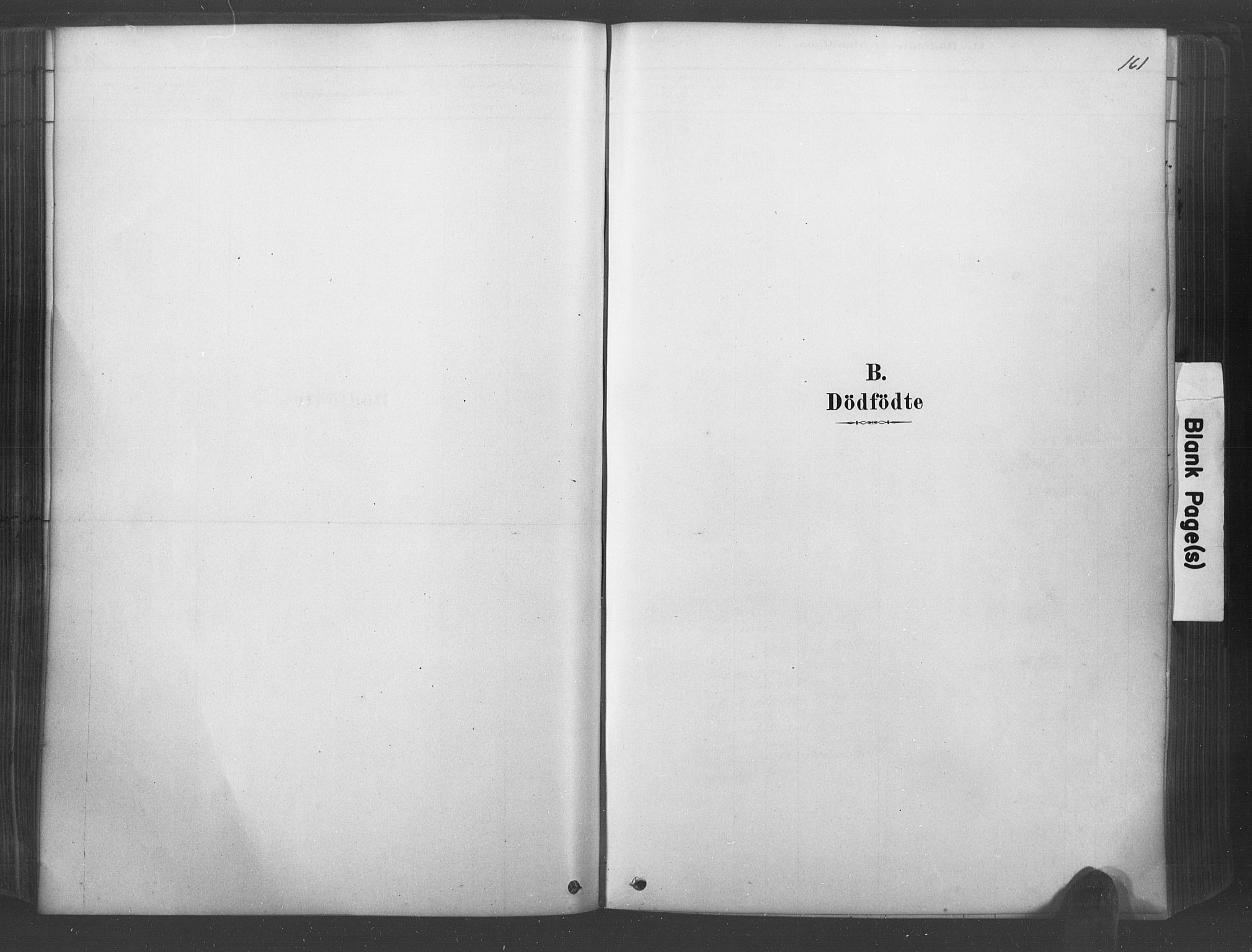 Lyngdal sokneprestkontor, SAK/1111-0029/F/Fa/Fac/L0011: Ministerialbok nr. A 11, 1878-1893, s. 161