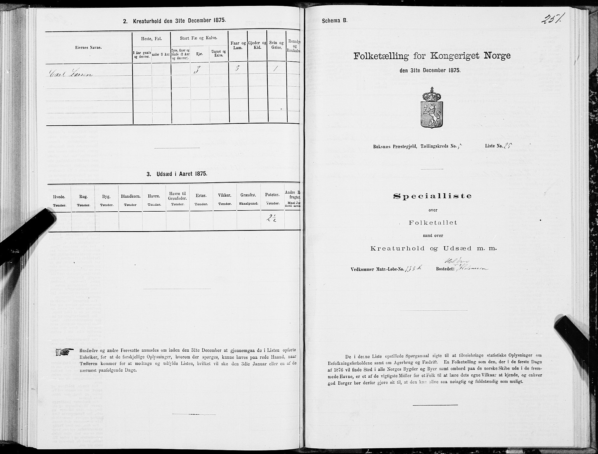 SAT, Folketelling 1875 for 1860P Buksnes prestegjeld, 1875, s. 2251
