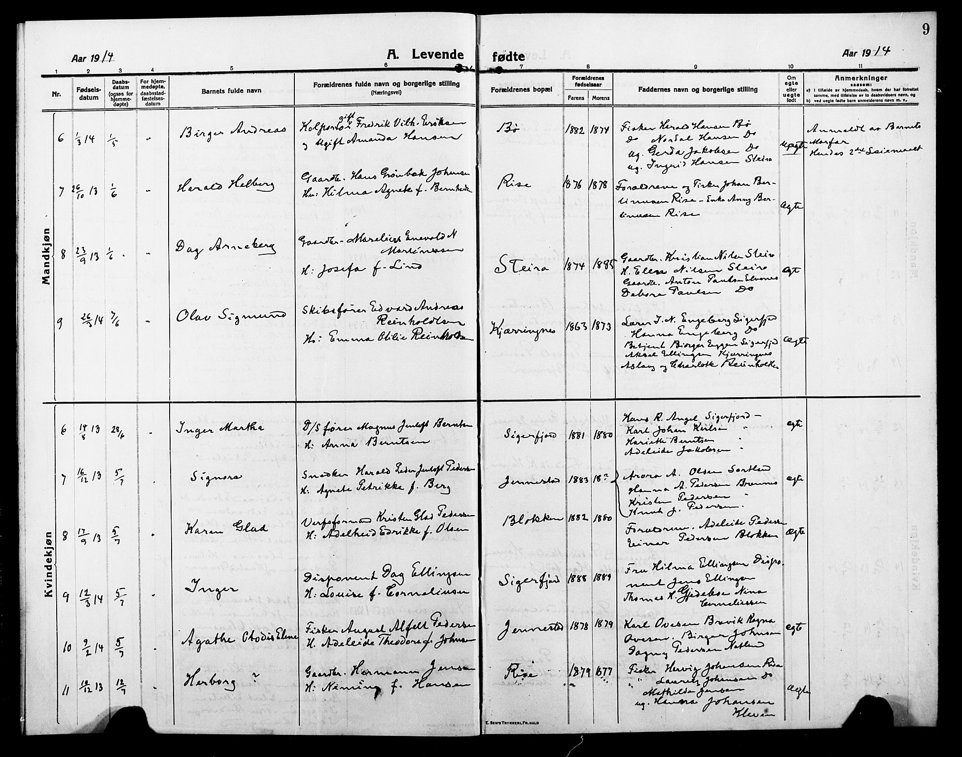 Ministerialprotokoller, klokkerbøker og fødselsregistre - Nordland, SAT/A-1459/895/L1383: Klokkerbok nr. 895C05, 1913-1922, s. 9