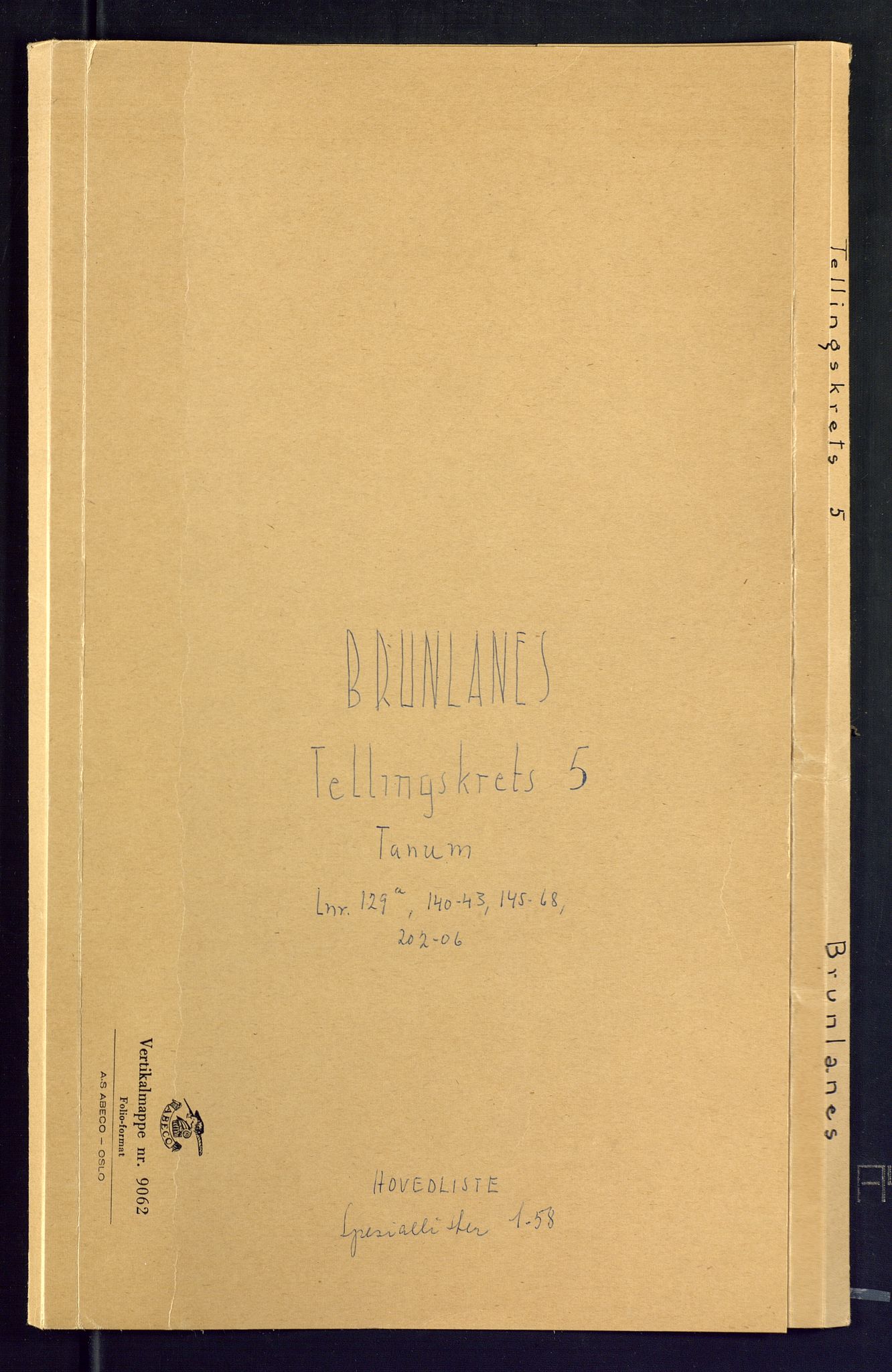 SAKO, Folketelling 1875 for 0726P Brunlanes prestegjeld, 1875, s. 17