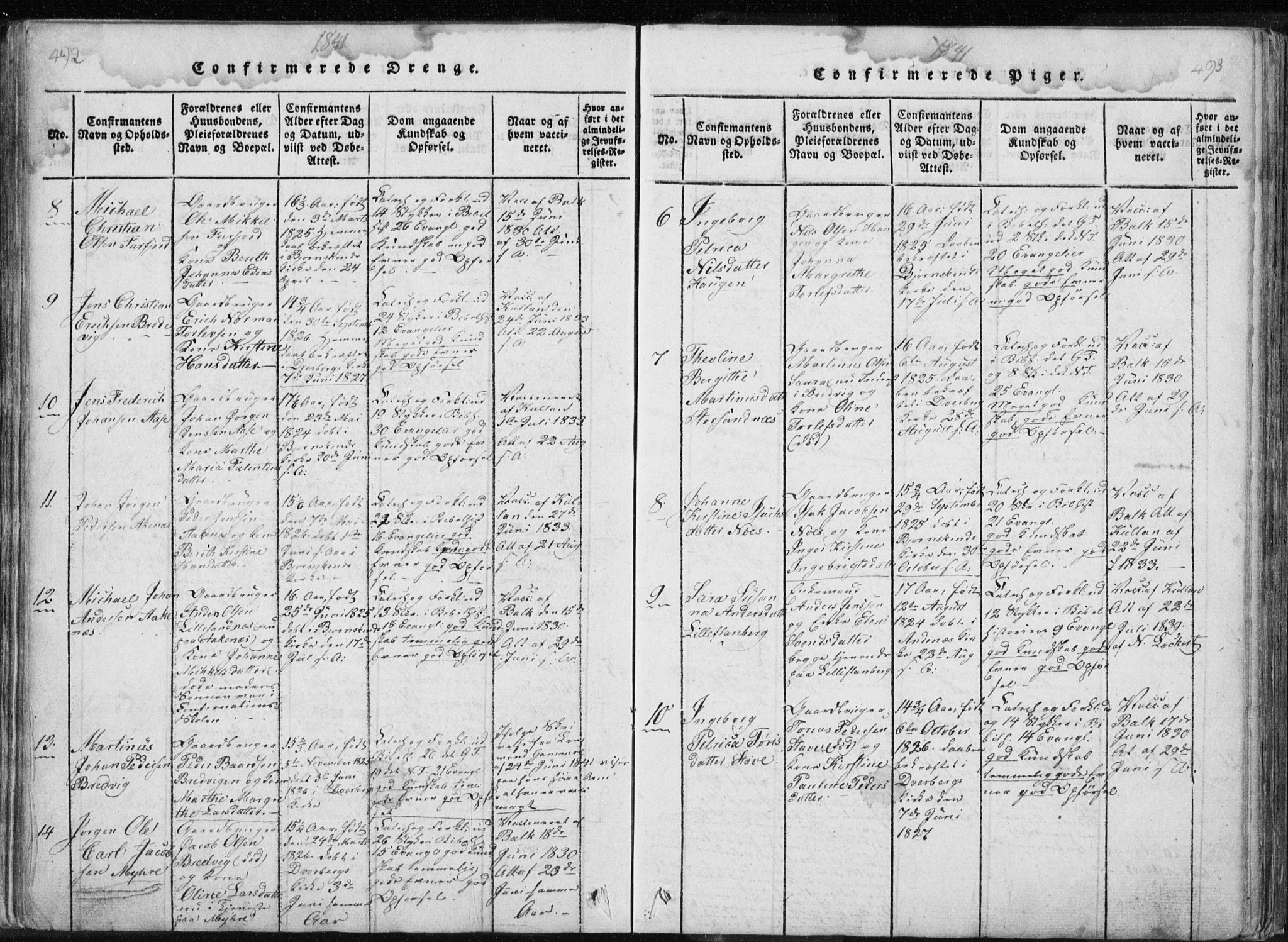 Ministerialprotokoller, klokkerbøker og fødselsregistre - Nordland, AV/SAT-A-1459/897/L1411: Klokkerbok nr. 897C01, 1820-1866, s. 492-493