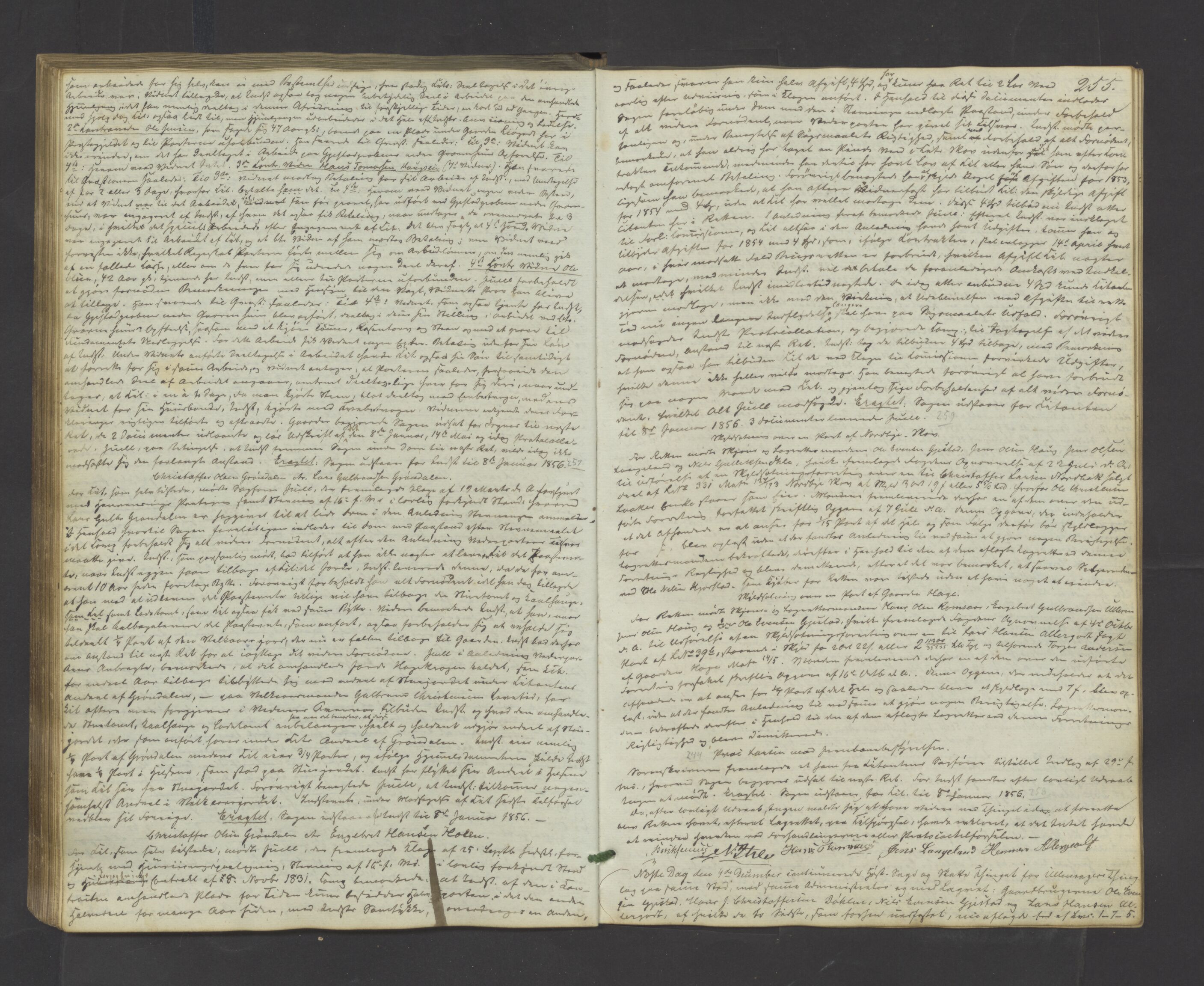 Nes tingrett, AV/SAO-A-10548/F/Fb/L0001: Tingbok, 1849-1862, s. 254b-255a