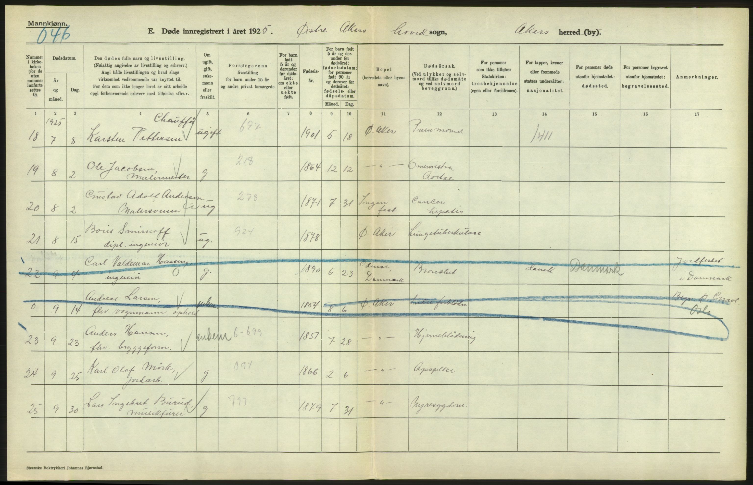 Statistisk sentralbyrå, Sosiodemografiske emner, Befolkning, AV/RA-S-2228/D/Df/Dfc/Dfce/L0005: Akershus amt: Døde, gifte. Bygder og byer., 1925