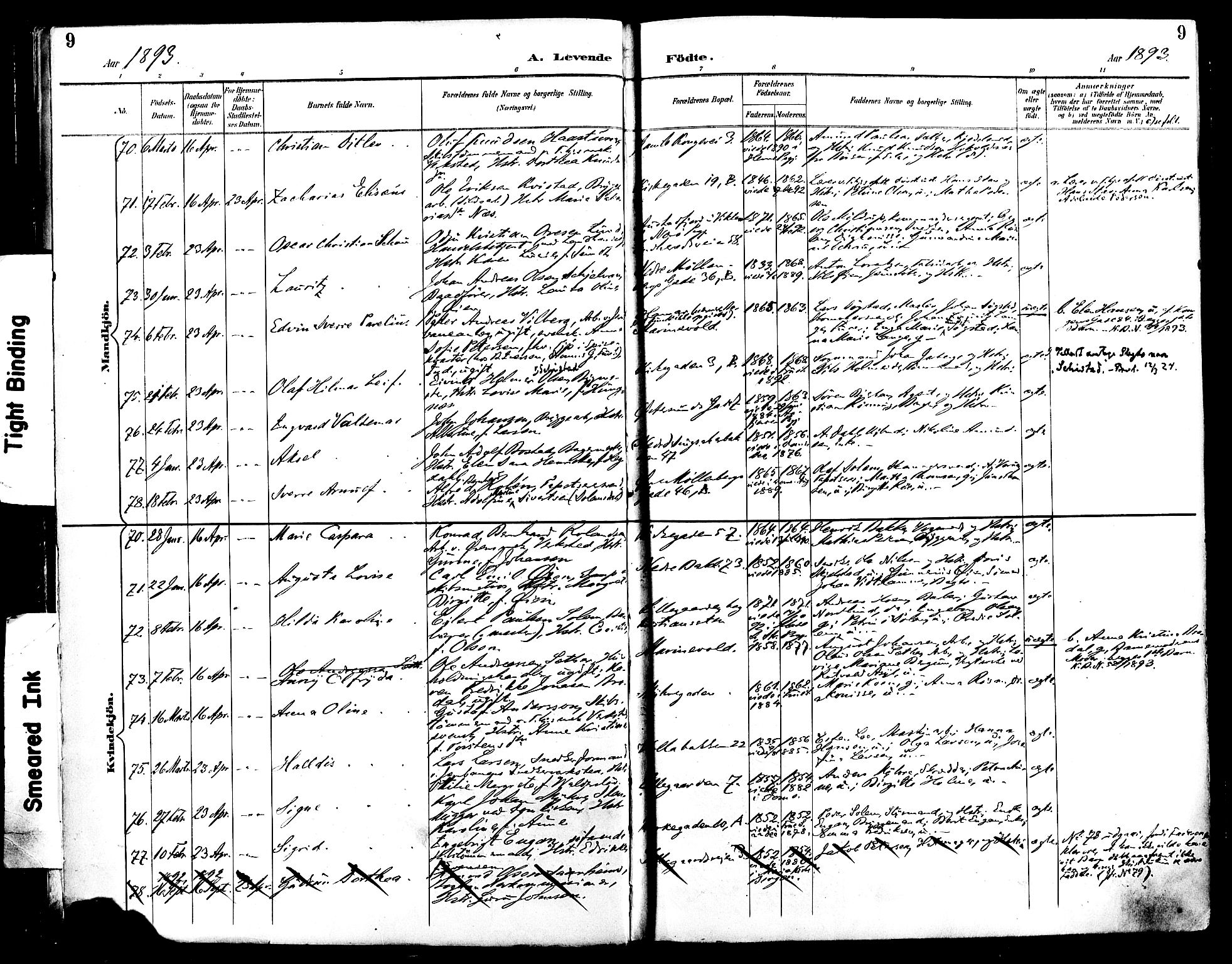 Ministerialprotokoller, klokkerbøker og fødselsregistre - Sør-Trøndelag, SAT/A-1456/604/L0197: Ministerialbok nr. 604A18, 1893-1900, s. 9