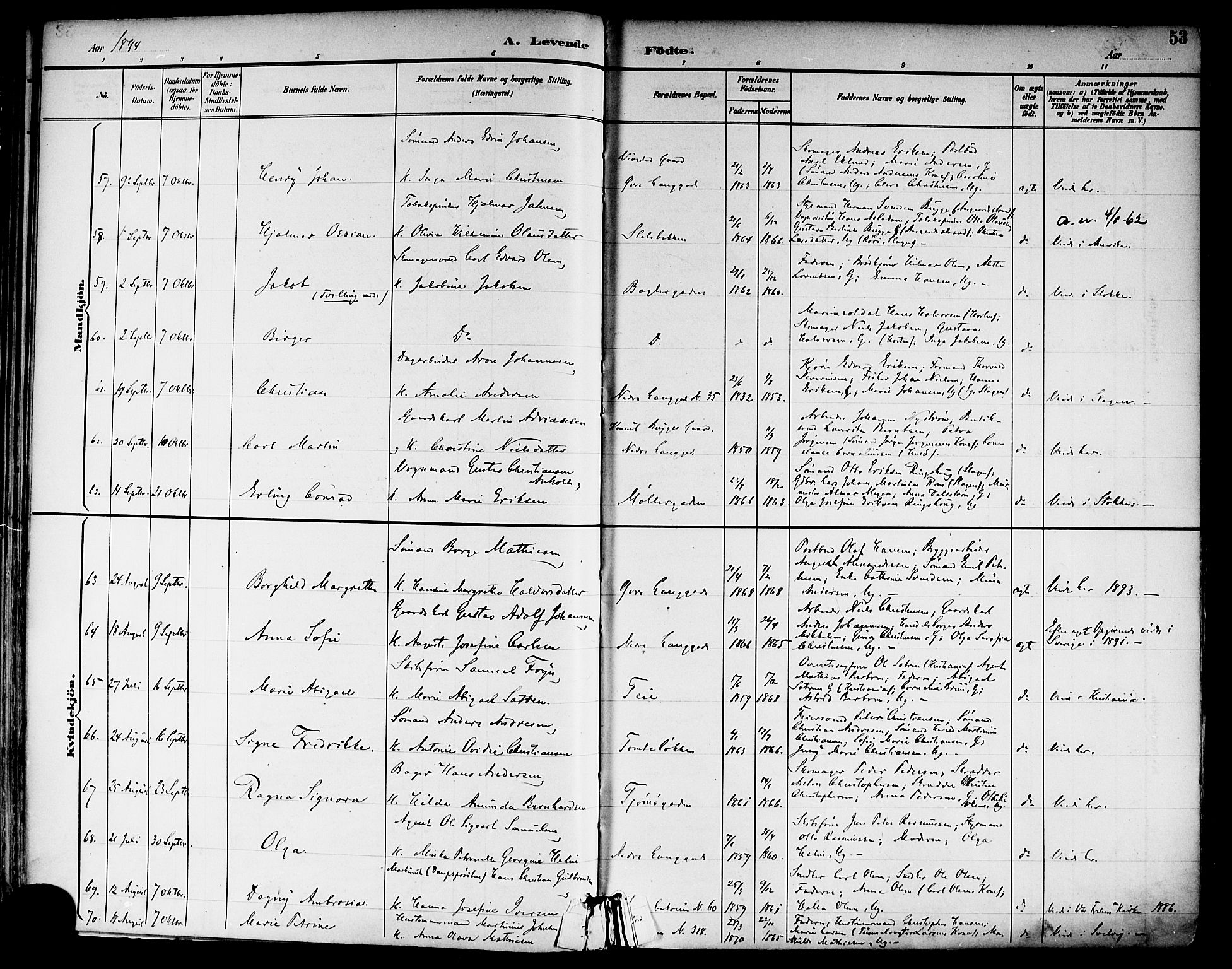 Tønsberg kirkebøker, AV/SAKO-A-330/F/Fa/L0012: Ministerialbok nr. I 12, 1891-1899, s. 53