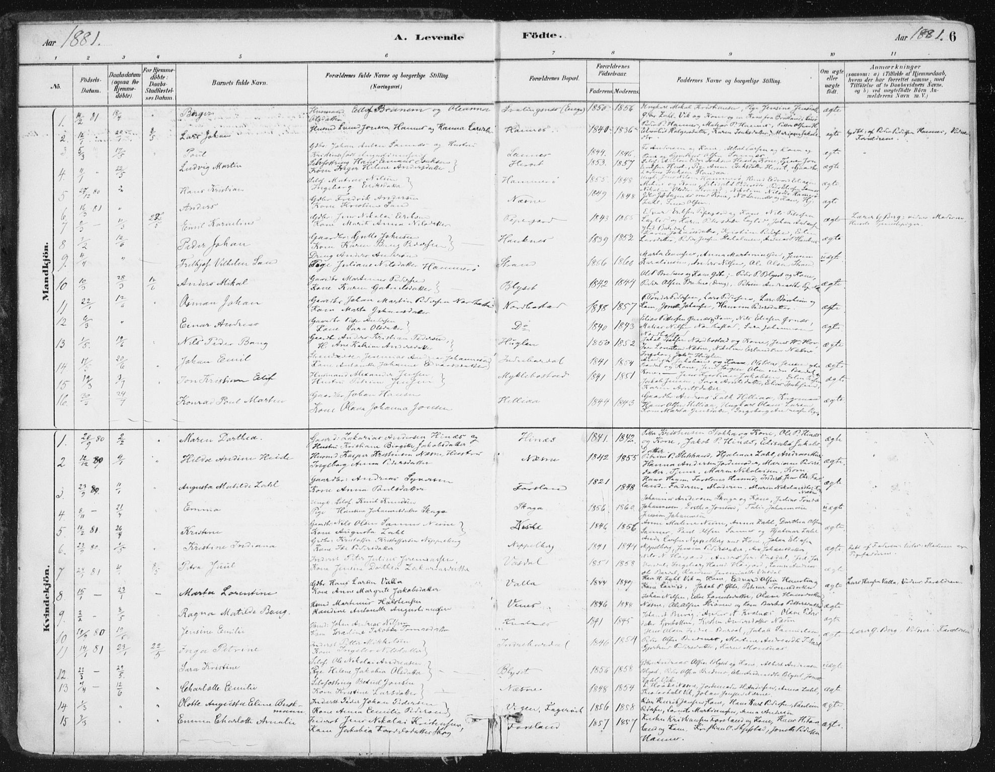 Ministerialprotokoller, klokkerbøker og fødselsregistre - Nordland, SAT/A-1459/838/L0552: Ministerialbok nr. 838A10, 1880-1910, s. 6