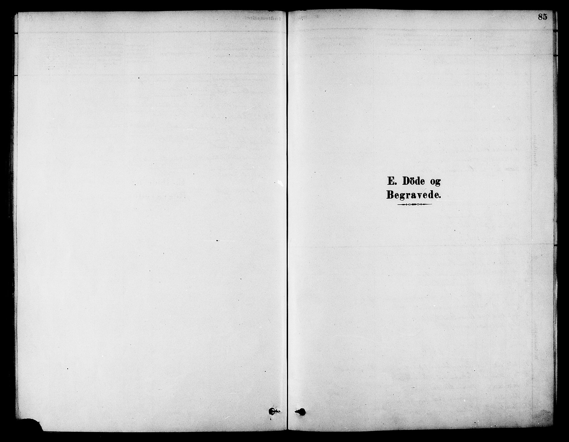 Ministerialprotokoller, klokkerbøker og fødselsregistre - Nordland, SAT/A-1459/826/L0379: Ministerialbok nr. 826A02, 1878-1895, s. 85