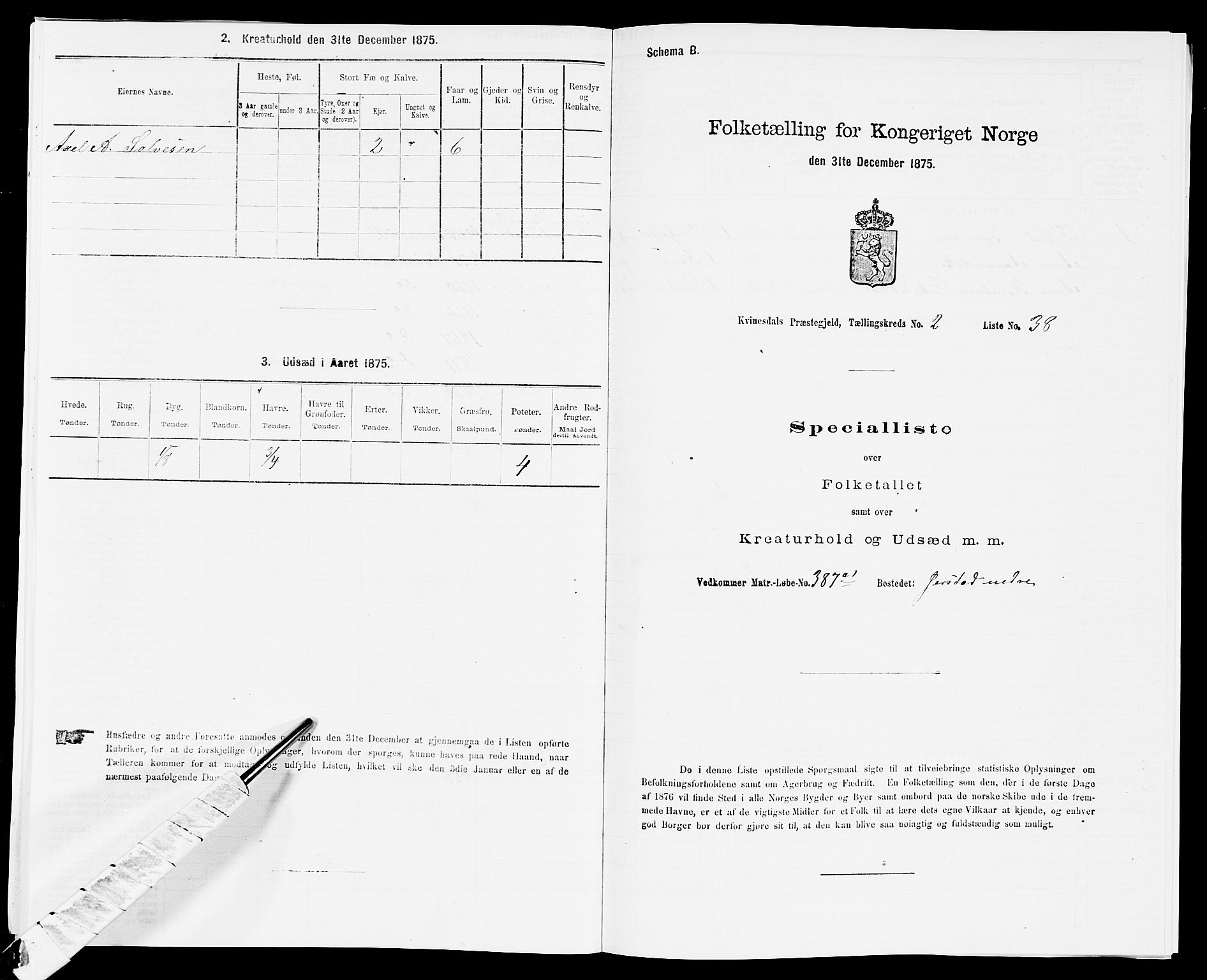 SAK, Folketelling 1875 for 1037P Kvinesdal prestegjeld, 1875, s. 347