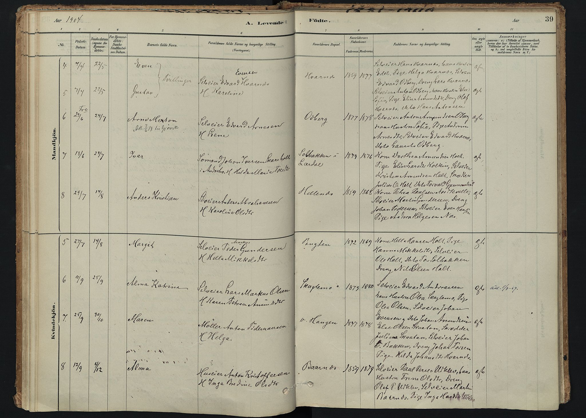 Hedrum kirkebøker, AV/SAKO-A-344/F/Fc/L0001: Ministerialbok nr. III 1, 1881-1906, s. 39