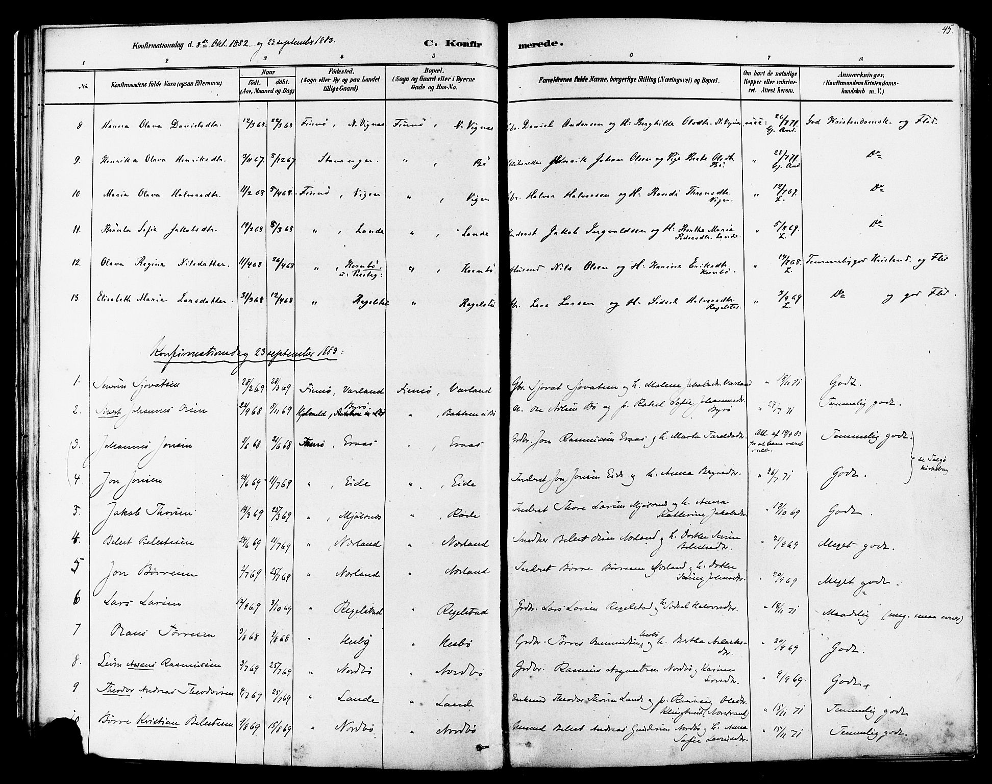 Finnøy sokneprestkontor, AV/SAST-A-101825/H/Ha/Haa/L0010: Ministerialbok nr. A 10, 1879-1890, s. 45