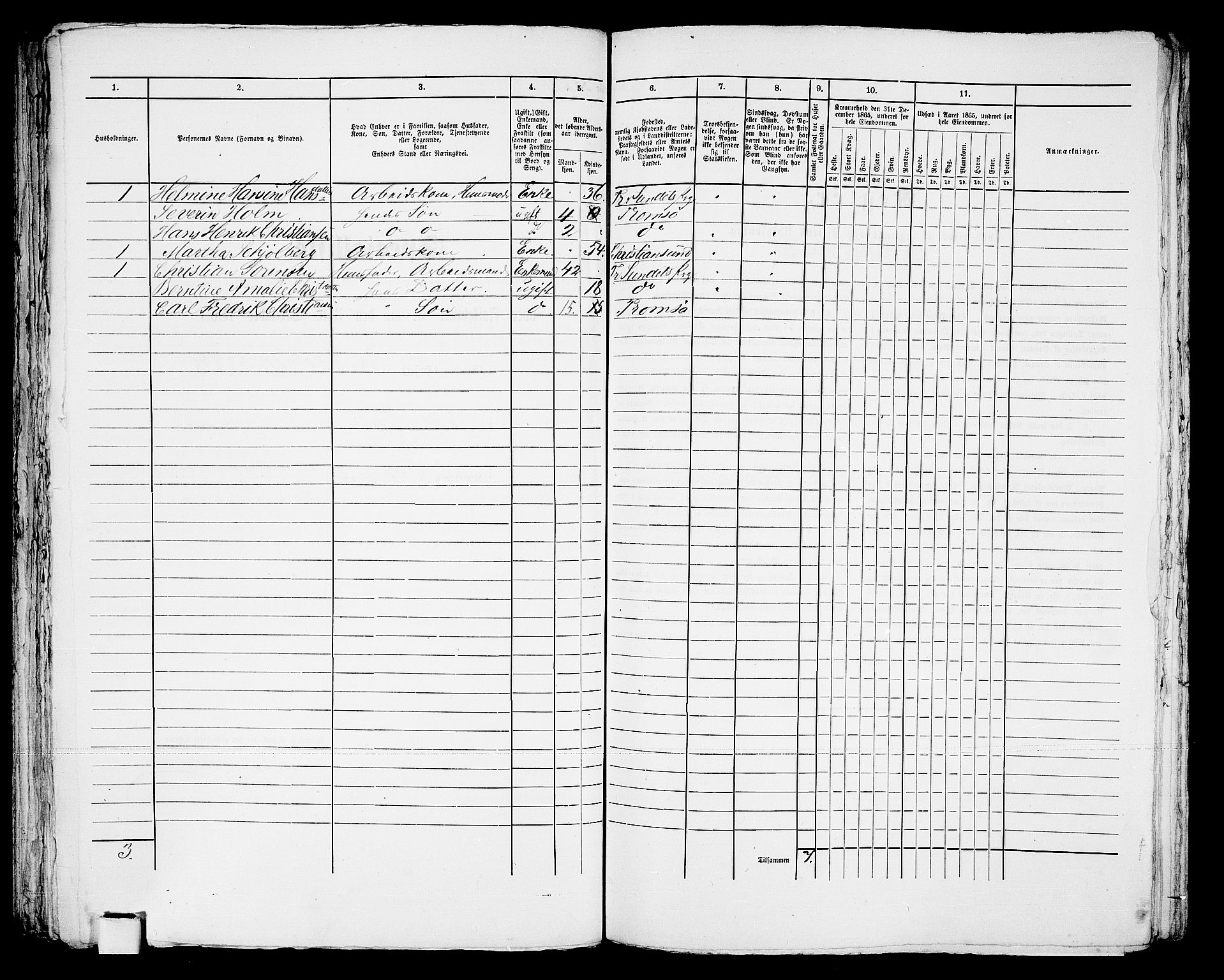 RA, Folketelling 1865 for 1902P Tromsø prestegjeld, 1865, s. 539