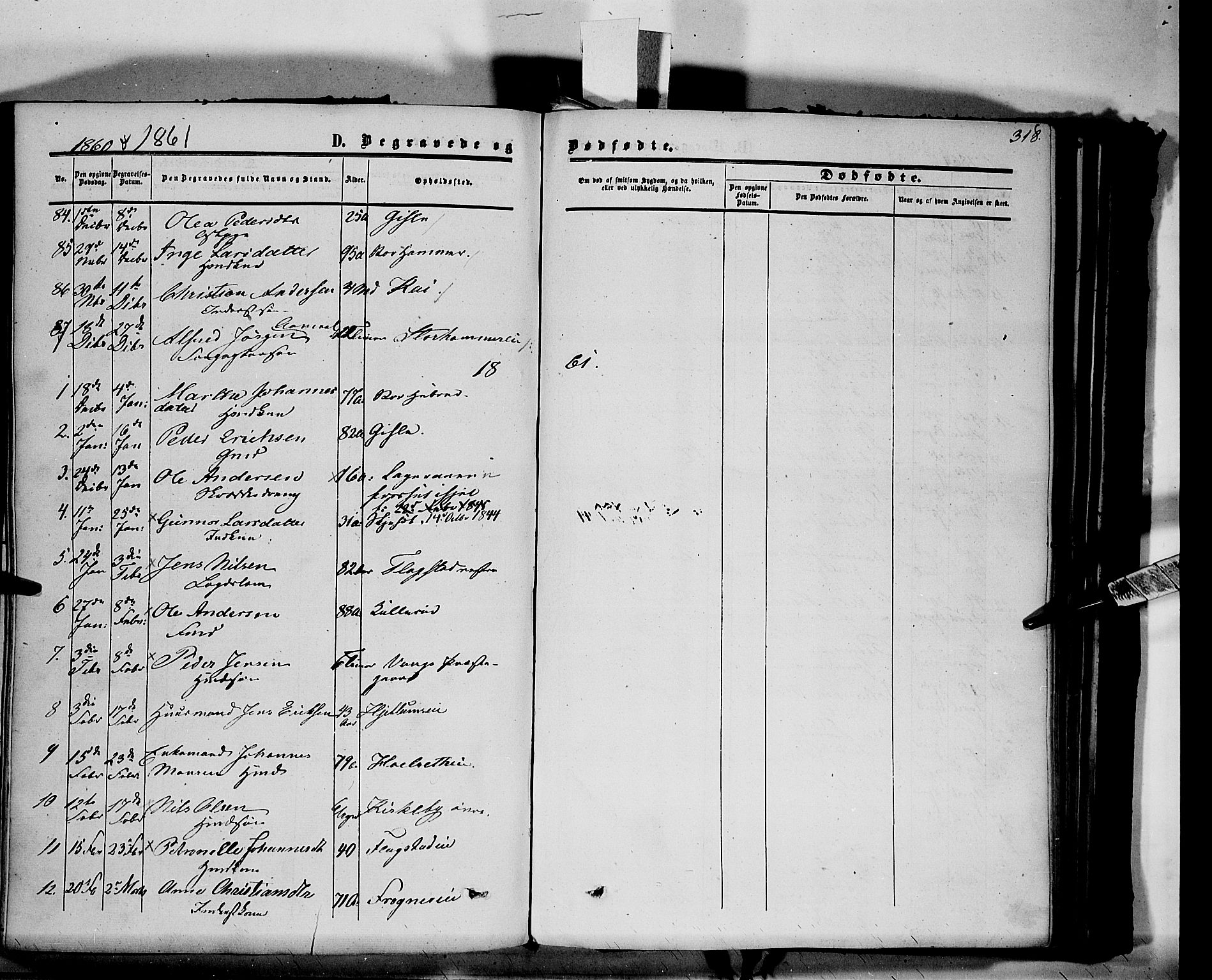 Vang prestekontor, Hedmark, AV/SAH-PREST-008/H/Ha/Haa/L0012: Ministerialbok nr. 12, 1855-1870, s. 318