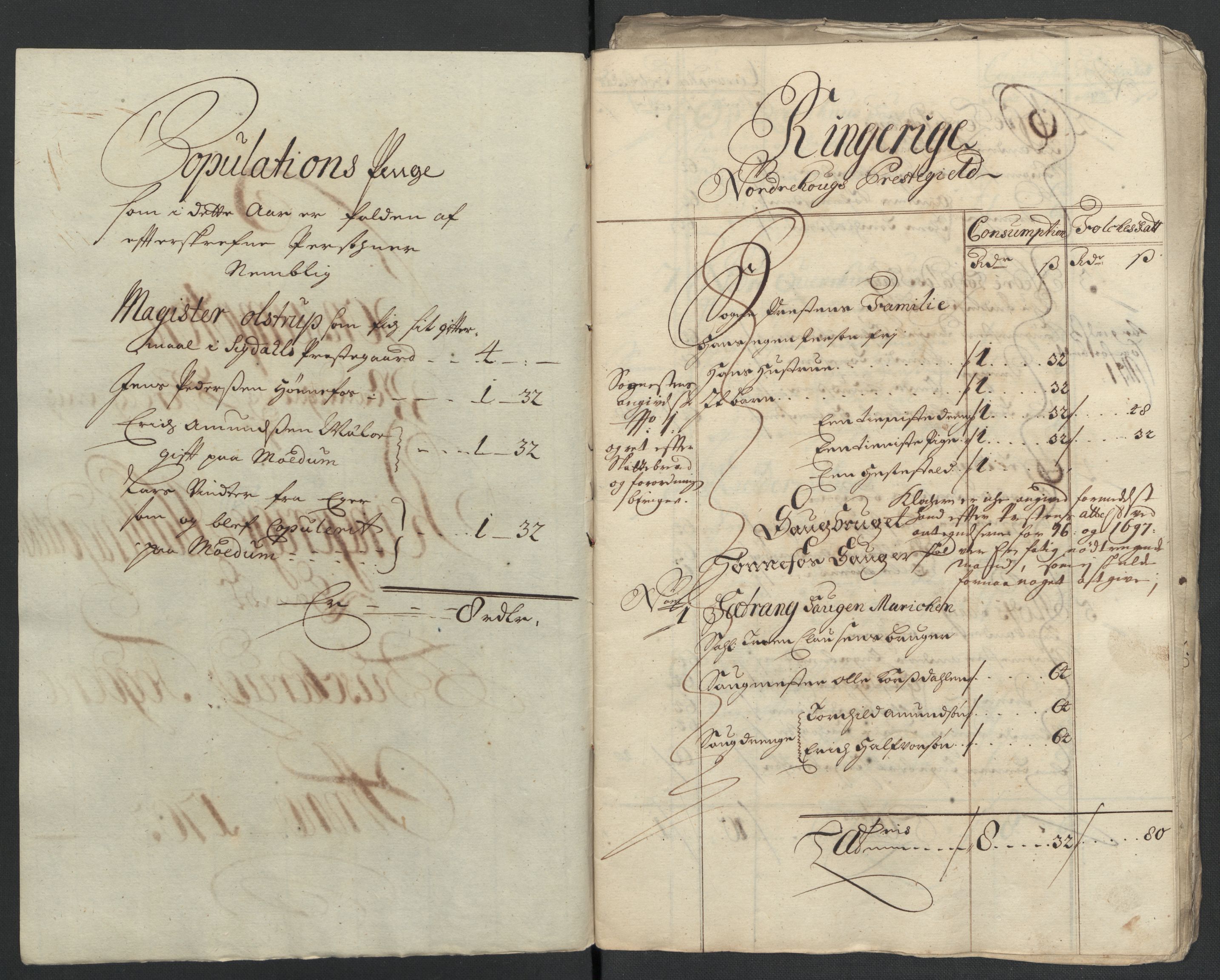 Rentekammeret inntil 1814, Reviderte regnskaper, Fogderegnskap, RA/EA-4092/R22/L1461: Fogderegnskap Ringerike, Hallingdal og Buskerud, 1703, s. 204