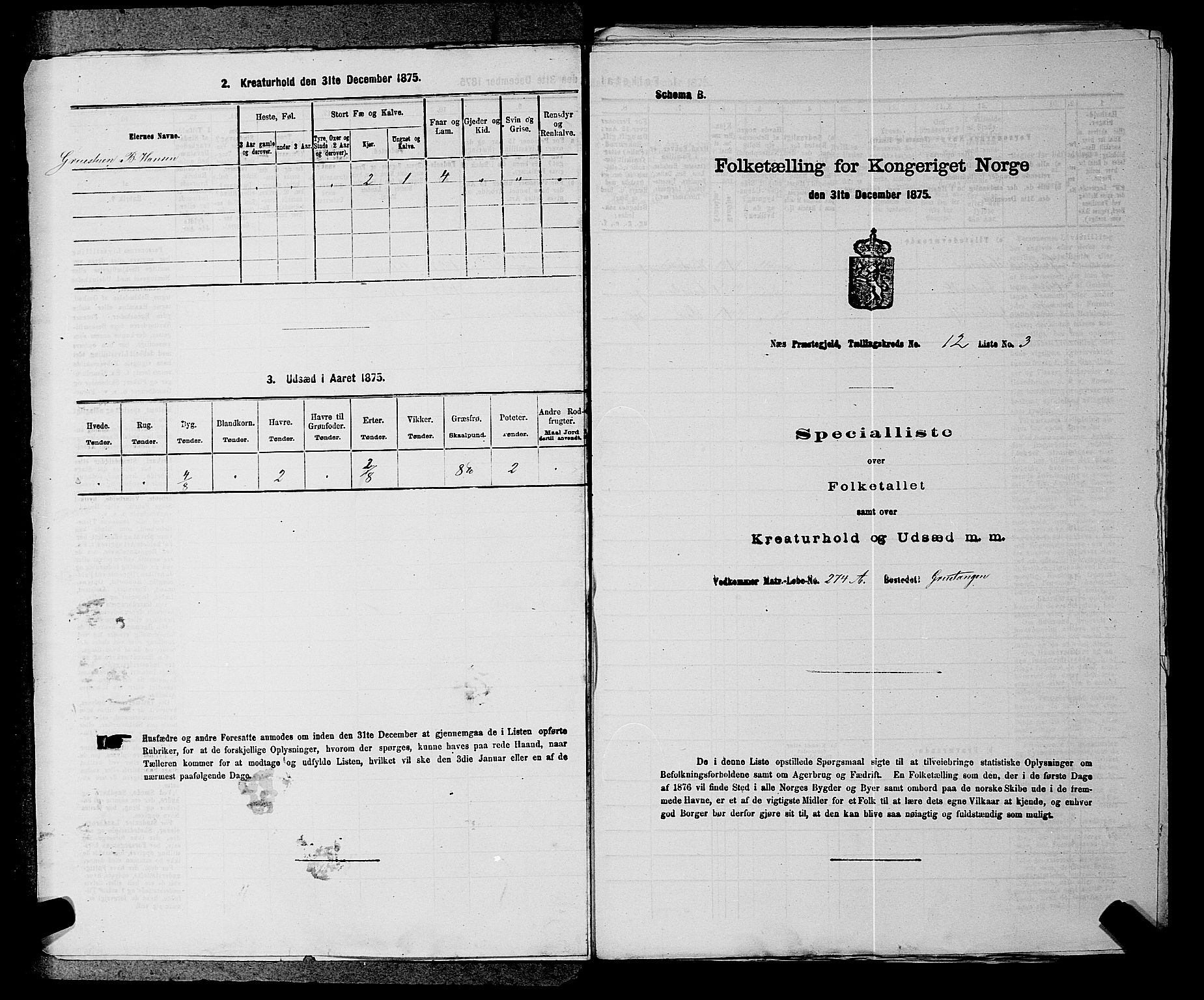 RA, Folketelling 1875 for 0236P Nes prestegjeld, 1875, s. 2041