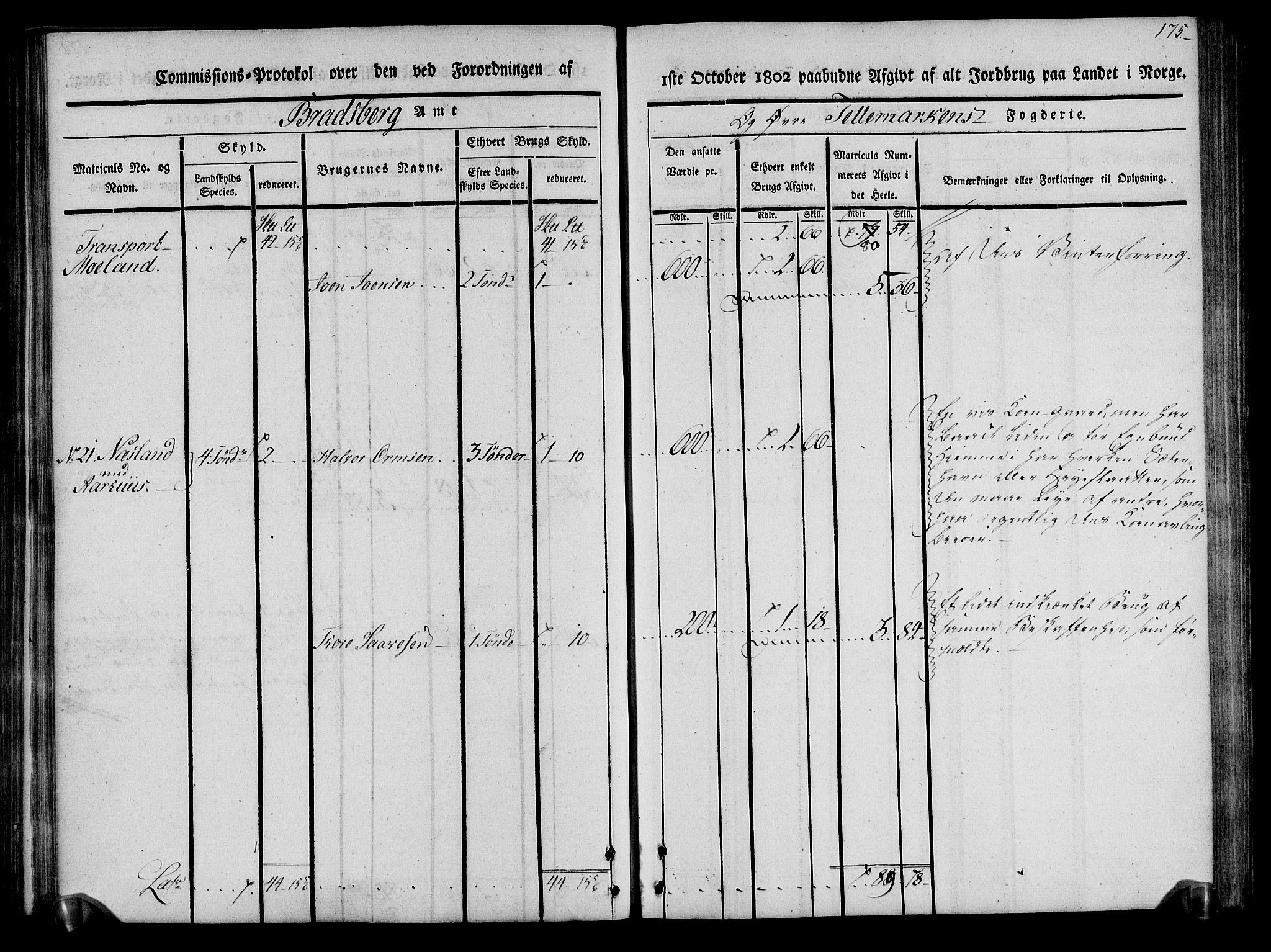 Rentekammeret inntil 1814, Realistisk ordnet avdeling, AV/RA-EA-4070/N/Ne/Nea/L0075: Øvre Telemarken fogderi. Kommisjonsprotokoll for fogderiets vestre del - Kviteseid, Vinje, Moland [):Fyresdal] og Lårdal prestegjeld., 1803, s. 177