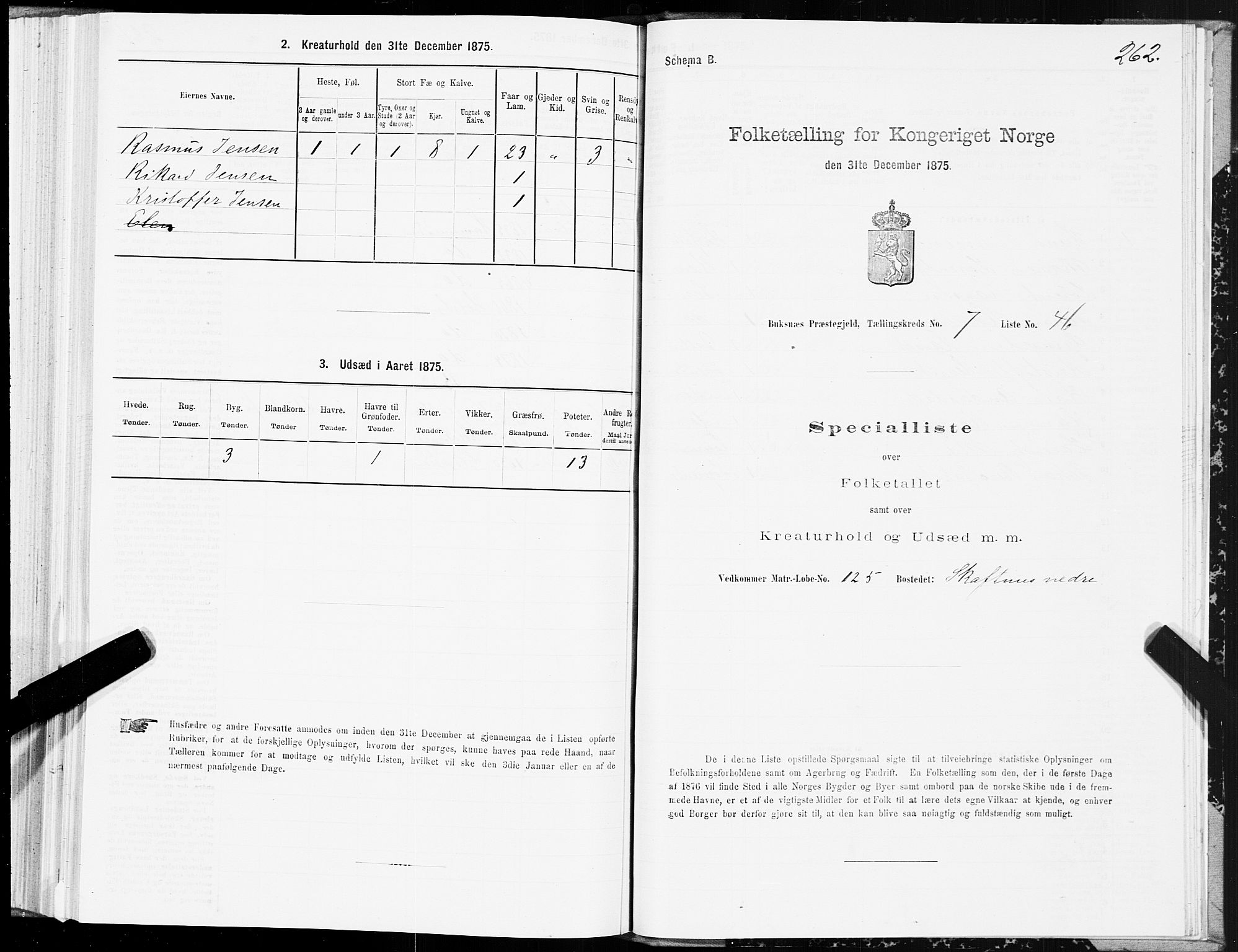 SAT, Folketelling 1875 for 1860P Buksnes prestegjeld, 1875, s. 3262