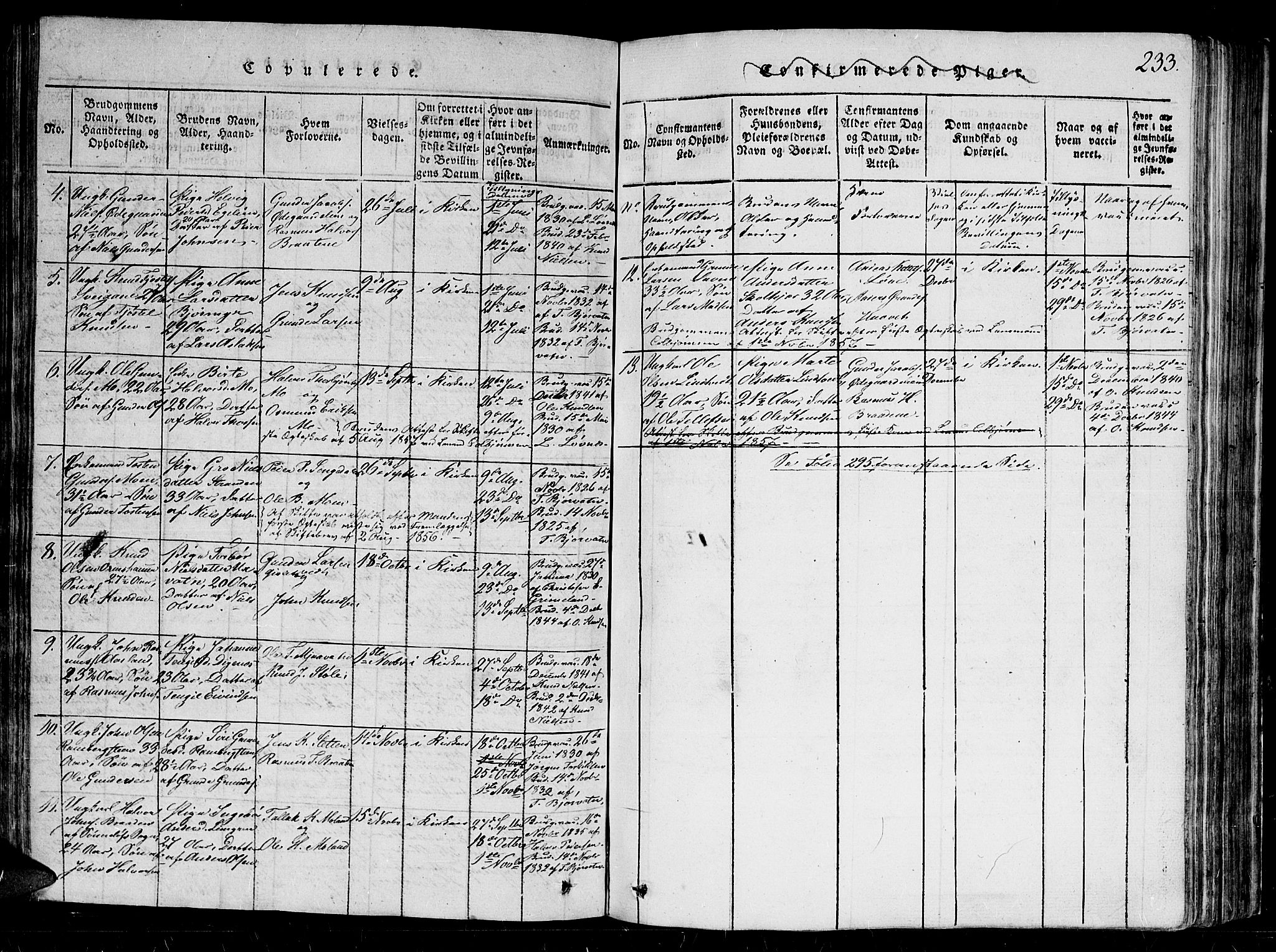 Gjerstad sokneprestkontor, AV/SAK-1111-0014/F/Fb/Fbb/L0001: Klokkerbok nr. B 1, 1813-1863, s. 233