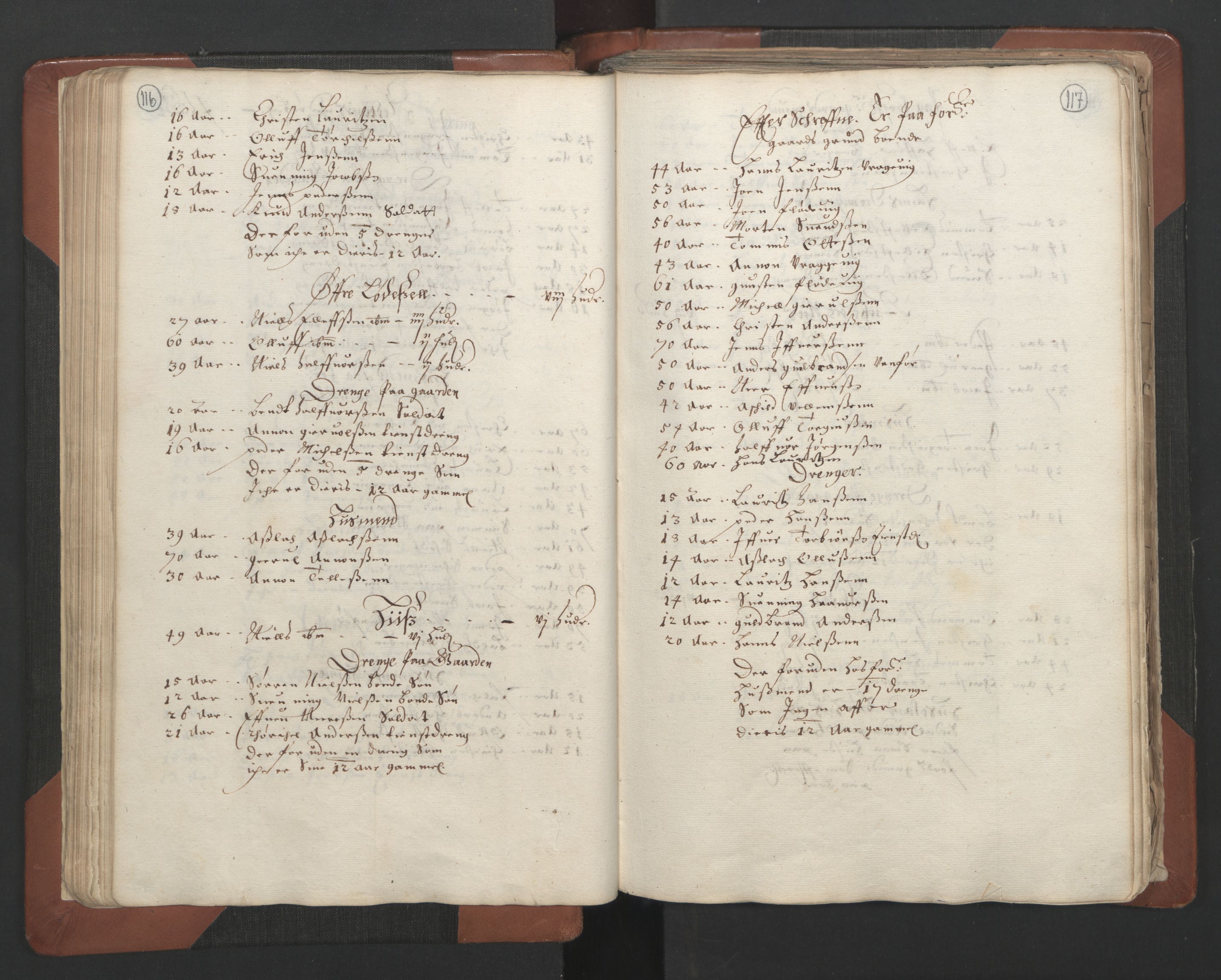 RA, Fogdenes og sorenskrivernes manntall 1664-1666, nr. 7: Nedenes fogderi, 1664-1666, s. 116-117
