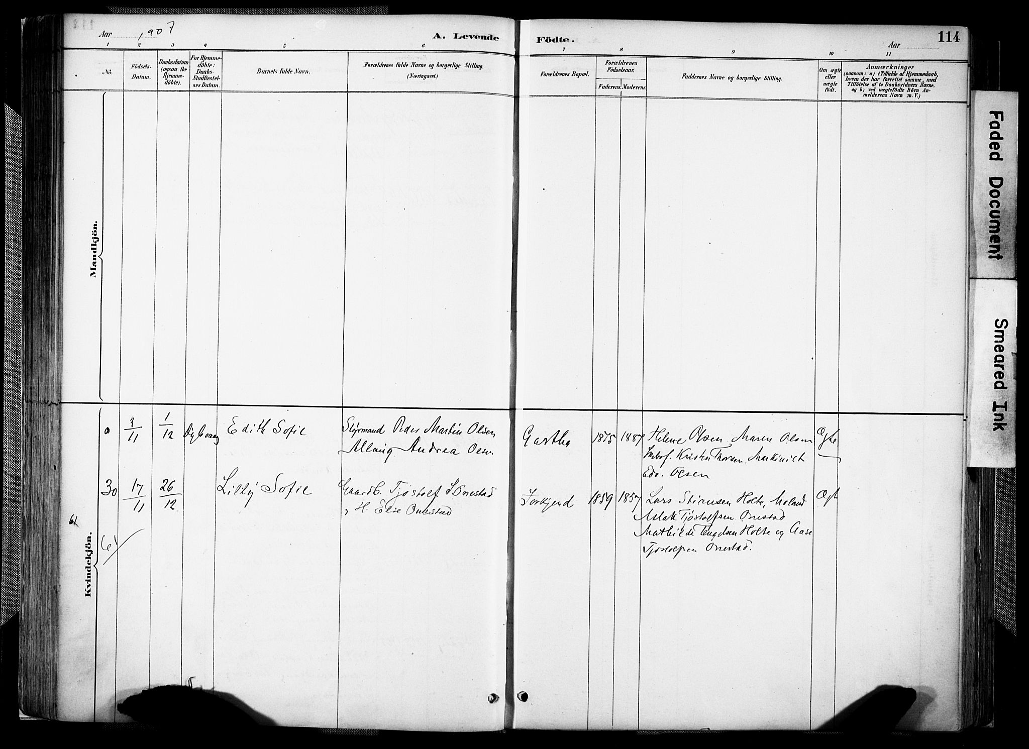 Holt sokneprestkontor, SAK/1111-0021/F/Fa/L0012: Ministerialbok nr. A 12, 1885-1907, s. 114