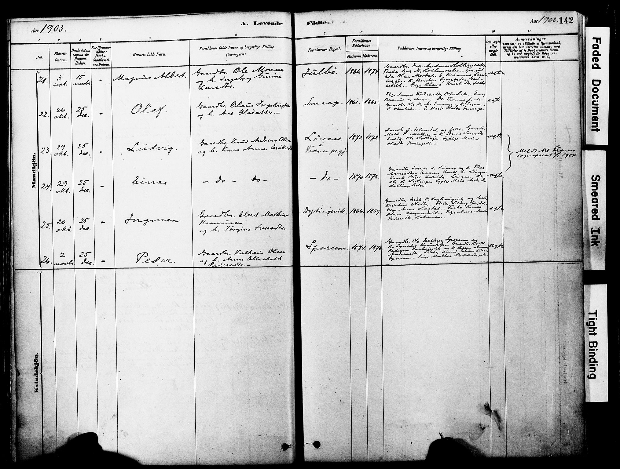 Ministerialprotokoller, klokkerbøker og fødselsregistre - Møre og Romsdal, SAT/A-1454/560/L0721: Ministerialbok nr. 560A05, 1878-1917, s. 142