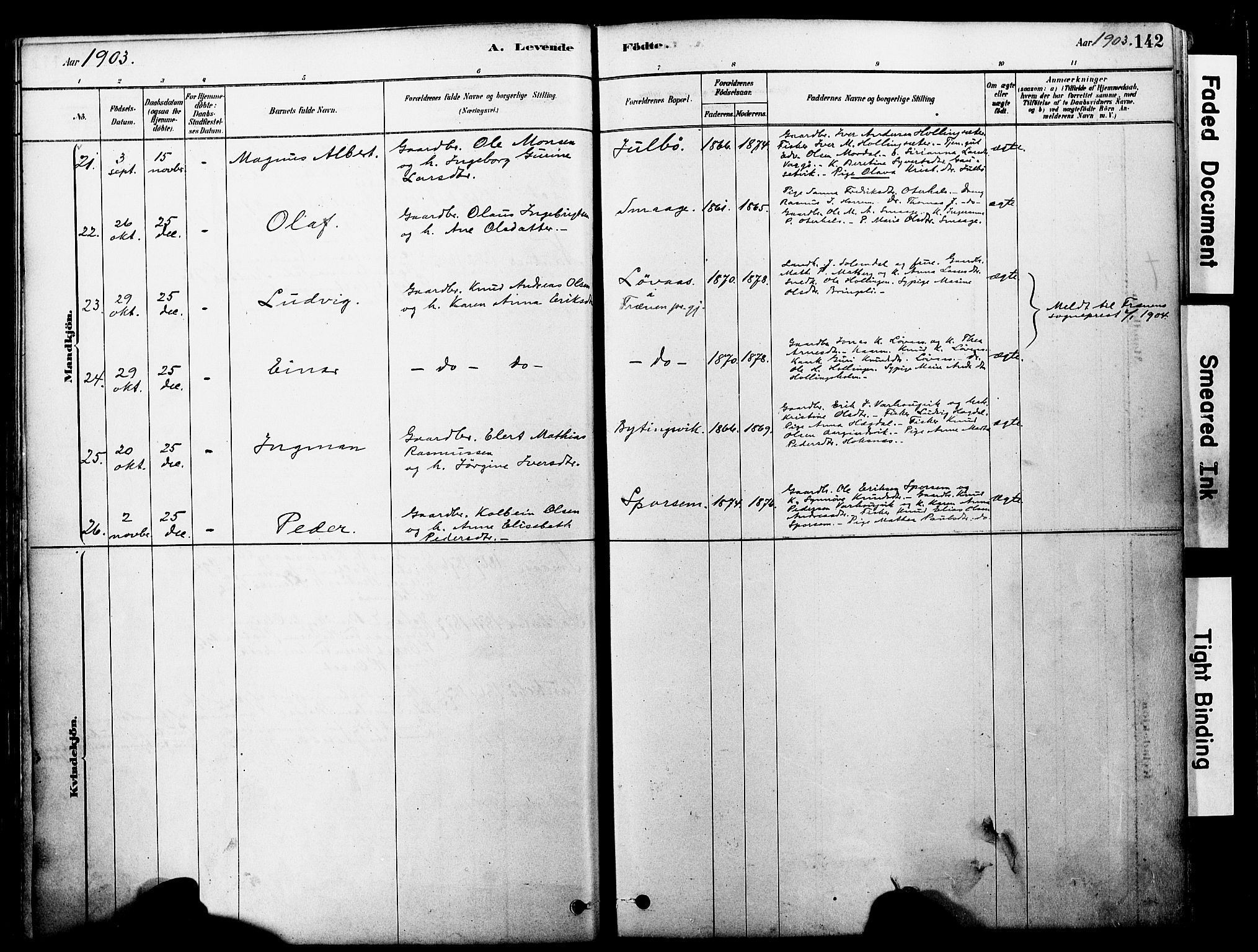 Ministerialprotokoller, klokkerbøker og fødselsregistre - Møre og Romsdal, AV/SAT-A-1454/560/L0721: Ministerialbok nr. 560A05, 1878-1917, s. 142