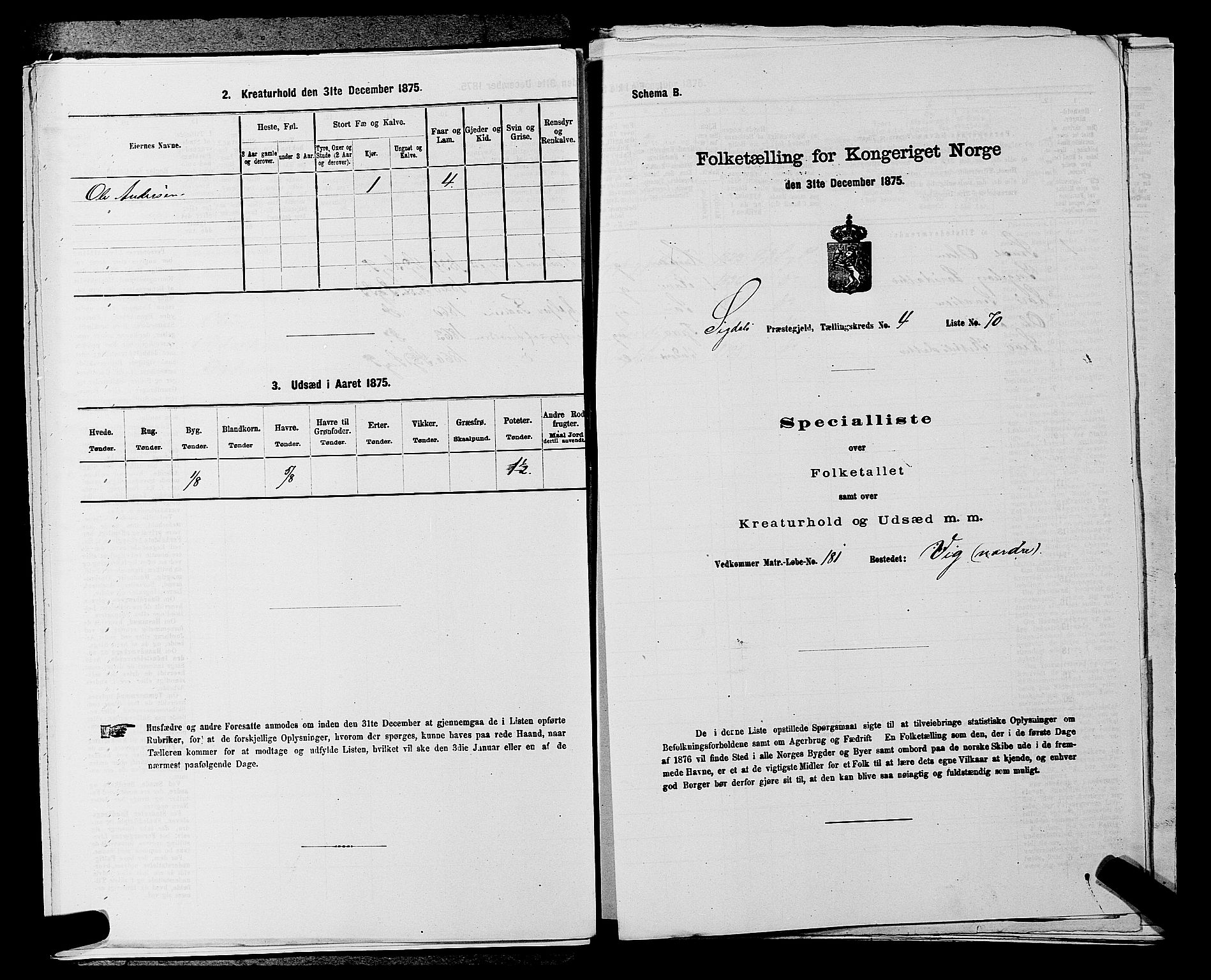 SAKO, Folketelling 1875 for 0621P Sigdal prestegjeld, 1875, s. 707