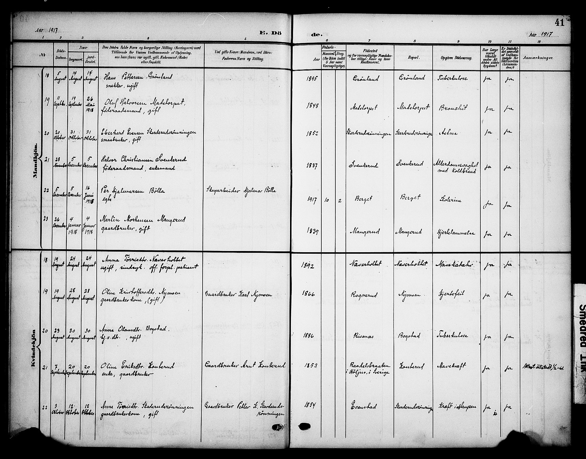 Våler prestekontor, Hedmark, SAH/PREST-040/H/Ha/Haa/L0007: Ministerialbok nr. 7, 1908-1919, s. 41