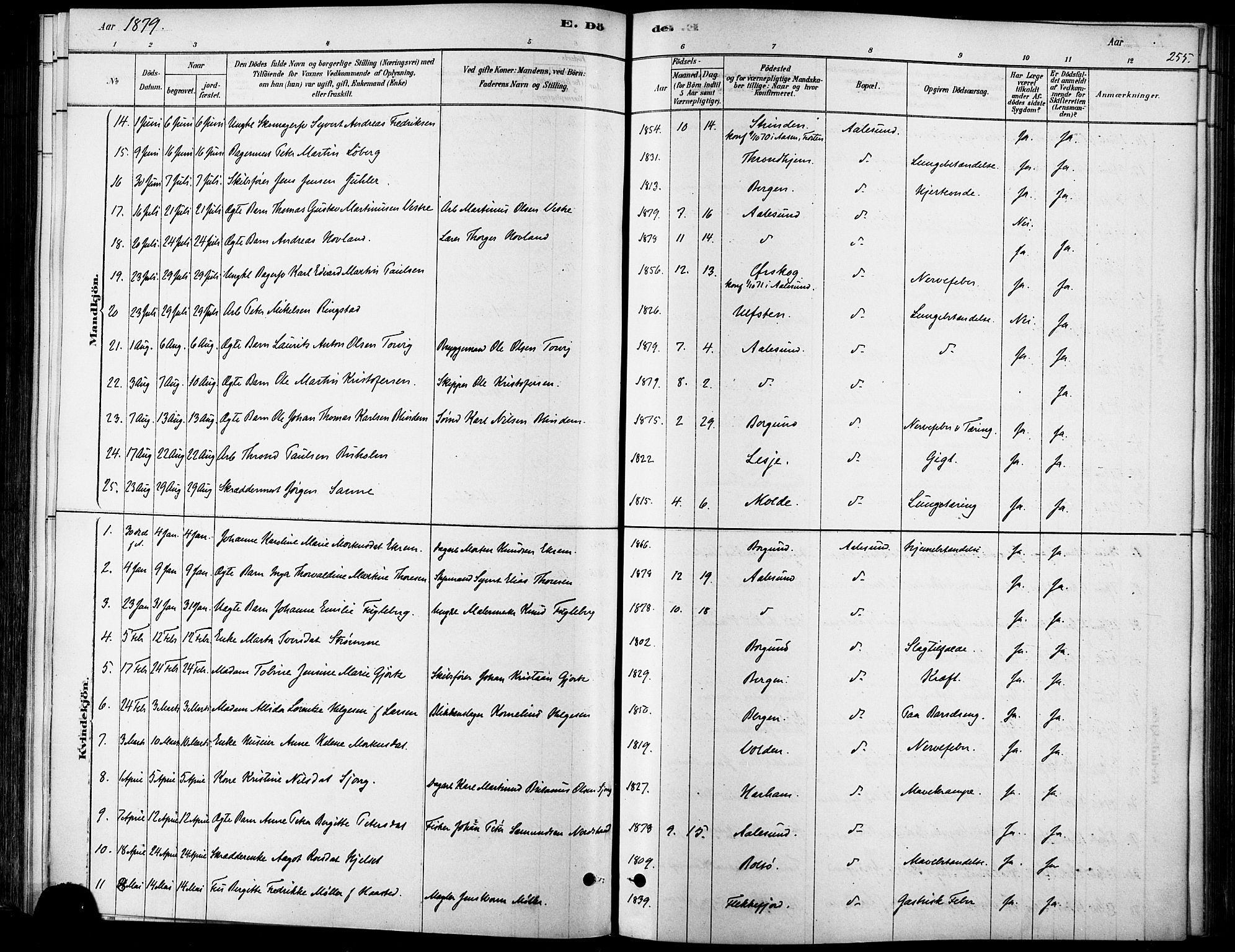 Ministerialprotokoller, klokkerbøker og fødselsregistre - Møre og Romsdal, SAT/A-1454/529/L0454: Ministerialbok nr. 529A04, 1878-1885, s. 255