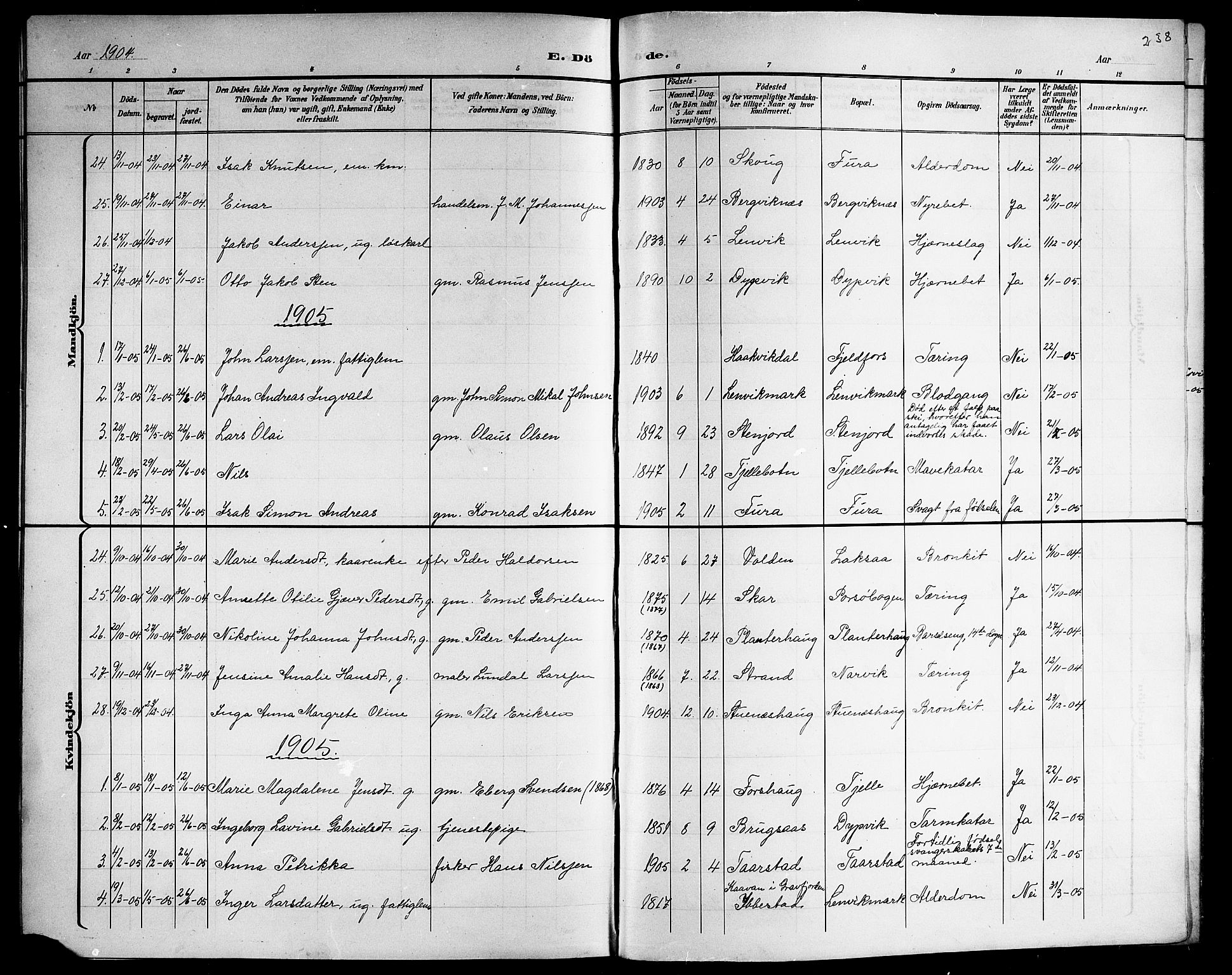 Ministerialprotokoller, klokkerbøker og fødselsregistre - Nordland, AV/SAT-A-1459/863/L0915: Klokkerbok nr. 863C05, 1898-1907, s. 238