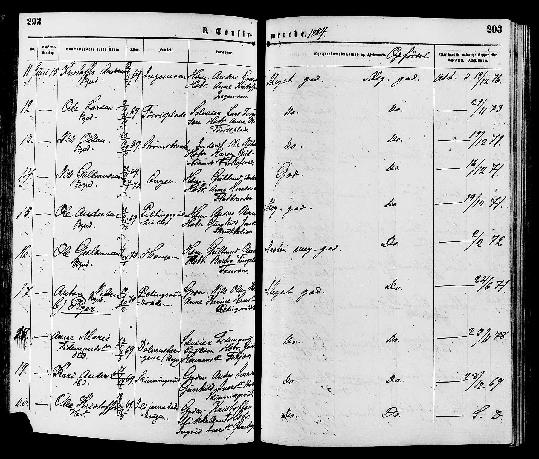 Sør-Aurdal prestekontor, AV/SAH-PREST-128/H/Ha/Haa/L0008: Ministerialbok nr. 8, 1877-1885, s. 293